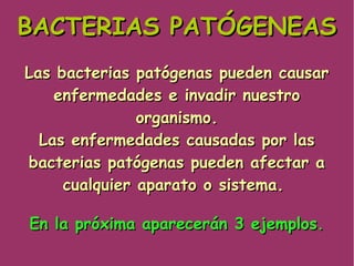 BACTERIAS PATÓGENEASBACTERIAS PATÓGENEAS
Las bacterias patógenas pueden causarLas bacterias patógenas pueden causar
enfermedades e invadir nuestroenfermedades e invadir nuestro
organismo.organismo.
Las enfermedades causadas por lasLas enfermedades causadas por las
bacterias patógenas pueden afectar abacterias patógenas pueden afectar a
cualquier aparato o sistema.cualquier aparato o sistema.
En la próxima aparecerán 3 ejemplos.En la próxima aparecerán 3 ejemplos.
 