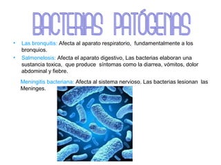 • Las bronquitis: Afecta al aparato respiratorio, fundamentalmente a los
bronquios.
• Salmonelosis: Afecta el aparato digestivo, Las bacterias elaboran una
sustancia toxica, que produce síntomas como la diarrea, vómitos, dolor
abdominal y fiebre.
Meningitis bacteriana: Afecta al sistema nervioso. Las bacterias lesionan las
Meninges.
 