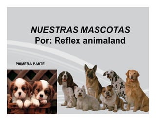 NUESTRAS MASCOTAS
       Por: Reflex animaland

PRIMERA PARTE
 