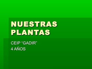 NUESTRASNUESTRAS
PLANTASPLANTAS
CEIP “GADIR”CEIP “GADIR”
4 AÑOS4 AÑOS
 