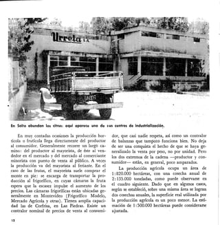 En Salto abundan los citrus: aquí apárece uno de sus centros de industrializació,!.
En muy. contadas ocasiones la producción hor-
tícola o frutícola llega directamente del productor
al consumidor. Generalmente recorre un largb ca-
mino: del productor al mayorista, de éste al ven-
dedor en el mercado y del mercado al comerciante
minorista con puesto de venta al público. A veces
la producción va del mayorista al feriante. En el
caso de las frutas, el mayorista suele comprar el
monte en pie: se encarga de transportar la pro-
ducción al frigorífico, en cuyas cámaras la fruta
espera que la escasez impulse el aumento de los
precios. Las cámaras frigoríficas están ubicadas ge-
neralmente en Montevideo (Frigorífico Modelo,
Mercado Agrícola y otras). Tienen amplia capaci-
dad las de Corfrisa, en Las Piedras. Existe un
contralor nominal de precios de venta al consumi-
12
dar, que casi nadie respeta, así como un contralor
de balanzas que tampoco funciona bien. No deja
de ser una conquista el hecho de que se haya ge-
neralizado la venta por peso, no por unidad. Pero
los dos extremos de la cadena -productor y con-
sumidor- están, en general, poco amparados.
La producción agrícola ocupa un área de
1:820.000 hectáreas, con una cosecha anual de
2: 135.000 toneladas, como puede observarse en
el cuadro siguiente. Dado que en algunos casos,
según se estableció, sobre una misma área se logran
dos cosechas anuales, la superficie real utilizada por
la producción agrícola es un poco menor. La esti-
mación de 1: 500.000 hectáreas puede considerarse
ajustada.
 