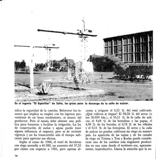 ..11____ ¡¡~¡ • •
- ..¡:.---~¡;,...---!i'1¡~
,
En el ingenio "El Espinillar" de Salto, las grúas para la descarga de la caña de azúcar.
nifica la seguridad de la cosecha. Balancear los in-
sumas que implica su empleo con los ingresos pro-
venientes de un buen rendimiento, es asunto del
productor. Pero el estado debe obtener una polí-
tica para fomentar y facilitar la irrigación. La ley
de conservación de suelos yaguas puede tener
alguna influencia al respecto, pero eS de reciente
vigenc}a y no ha transcurrido aún el tiempo sufi-
ciente para apreciar sus efectos.
Según el censo de 1966, el total de hectáreas
con riego ascendía a 41.980, un aumento del 57,55
por ciento con respecto a 1961, pero apenas al-
18
canza a irrigarse el 0,32 % del total cultivado.
¿Qué cultivos se riegan? El 98,38 % del arroz (o
sea 30.499 hás.), el 95,51 % de la caña de azú-
car, el 4,64 % de las hortalizas y las papas, el
4,96 % de los frutales, el 0,78 % de los viñedos
y el 0,11 % de las forrajeras. El arroz y la caña
de azúcar no pueden cultivarse sin riego en nuestro
país. La aparición de las tapias y de los canales
de riego en Treinta y Tres y Rocha puede conside-
rarse uno de los cambios más singulares produci-
dos en una zona donde el territorio era, aparente-
mente, improductivo. Llama la atención que la su-
 