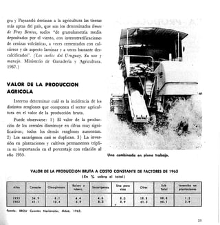 gro y Paysandú destinan a la agricultura las tierras
más aptas del país, que son los denominados limos'
de Fray Bentos, suelos "de granul~metría media
depositados por el viento, con interestratificaciones
de cenizas volcánicas, a veces cementados con cal-
cáreos y de aspecto laminar y a veces bastante des-
calcificados". (Los sueles del Uruguay. Su uso y
manejo. Ministerio de Ganadería y igricultura.
1967.)
VALOR DE LA PRODUCCION
AGRICOLA
Interesa determinar cuál es la incidencia de los
distintos renglones que componen el sector agricul-
tura en el valor de la producción bruta.
Puede observarse: 1) El valor de la produc-
ción de los cereales' élisminuye en cifras muy signi-
ficativas; todos los demás renglones aumentan.
2) Los sacarígenos casi se duplican. 3) La inver-
sión en plantaciones y cultivos permanentes tripli-
ca su importancia en el porcentaje con relación al
año 1955. Una combinada en pleno trabajo.
VALOR DE LA PRODUCCIÓN BRUTA A COSTO CONSTANTE DE FACTORES DE 1963
(En % sobre el total)
21
 