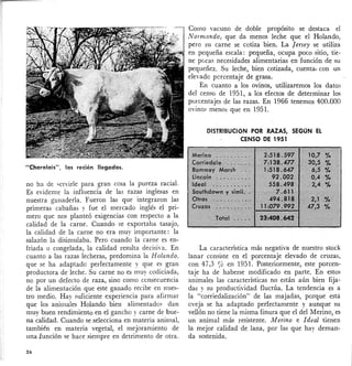 "Charolais", los recién llegados.
no ha de servirle para gran cosa la pureza racial.
Es evidente la influencia de las razas inglesas en
nuestra ganadería. Fueron las que integraron las
primeras cabañas y fue el mercado inglés el pri-
mero que nos planteó exigencias con respecto a la
calidad de la carne. Cuando se exportaba tasajo,
la calidad de la carne no era mu~' importante: la
salazón la disimulaba. Pero cuando la carne es en-
friada o congelada, la calidad resulta decisiva. En
cuanto a las razas lecheras, predomina la Holanda.
que se ha adaptado perfectamente y que es gran
productora de leche. Su carne no es muy codiciada,
no por un defecto de raza, sino como consecuencia
de la alimentación que este ganado recibe en nues-
tro medio. Hay suficiente experiencia para afirmar
que los animales Holanda bien alimentados dan
muy buen rendimiento en el gancho y carne de bue-
na calidad. Cuando se selecciona en materia animal,
también en materia vegetal, el mejoramiento de
una ,función se hace siempre en detrimento de otra.
26
Como vacuno de doble propósito se destaca el
Normando, que da menos leche que el Holanda,
pero su carne se cotiza bien. La Jersey se utiliza
en pequeña escala: pequeña, ocupa poco sitio, tie-
ne pocas necesidades alimentarias en función de su
pequeñez. Su leche, bien cotizada, cuenta· con un
elevado porcentaje de grasa.
En cuanto a los ovinos, utilizaremos los datos
del censo de 1951, a los efectos de determinar los
porcentajes de las razas. En 1966 tenemos 400.000
ovinos menos que en 1951.
DISTRIBUCiÓN POR RAZAS, SEGÚN EL
CENSO DE 1951
La característica más negativa de nuestro stock
lanar consiste en el porcentaje elevado de cruzas,
con 47,3 % en 1951. Posteriormente, este porcen-
taje ha de haberse modificado en parte. En estos
animales las caracteristicas no están aún bien fija-
das y su productividad fluctúa. La tendencia es a
la "corriedalización" de las majadas, porque está
oveja se ha adaptado perfectamente y aunque su
vellón no tiene la misma finura que el del Merino, es
un animal más resistente. Merina e Ideal tienen
la mejor calidad de lana, por las que hay deman-
da sostenida.
 