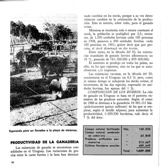 Esperando ~ara ser llevadas cila playa de matanza.
PRODUCTIVIDAD DE LA GANADERIA
Las existencias de. ganado se encuentran con-
solidadas en el Uruguay. Las variaciones de pre-
cios entre la carne bovina y la lana han determi-
30
nado cambios en los stocks, porque a su vez deter-
minaron cambios en la orientación de la produc-
ción. Esto es notorio, sobre todo, para el ganado
OVino.
Mientras se mantenía más o menos constante el
stock, la población se rj1ultiplicó por 2,5; enton-
ces, de 1.290 unidades bovinas cada 100 personas
en 1908, pasamos a 440 unidades bovinas cada
100 personas en 1961; quiere decir que por per-
sona, el stock disminuyó en dos tercios.
Entre tanto, en la década del 50, las existen-
cias mundiales de ganado bovino aúmentaron un
18 %, pasando de 761:300.000 a 899:400.000.
El aumento se produjo en todos los países, no
sólo, en los que exportan, sino en los que se auto-
abastecen y/o importan.
Las existencias vacunas, en la década del 50,
aumentaron en el Uruguay un 6,3 % pero, como
al mismo tiempo se redujeron los stocks ovinos, el
incremento de las dos especies, expresado en uni-
dades bovinas, fue apenas del 1 %.
COMPOSICIÓN DE LOS RODEOS. La cría
de ganado en Uruguay se basa en el pastoreo ex-
tensivo de las praderas naturales. Según el censo
de 1966 se destinan a la ganadería 14: 901.111 hás.
(prácticamente quince millones) de las que Se me-
joran, según el detalle adjunto, para aumentar la
productividad, 1: 029.230 hectáreas, vale decir el
7 % del área:
 