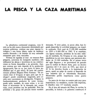 LA PESCA Y LA CAZAMARITIMAS
La plataforma continental uruguaya, cuyo lí-
mite no ha sido nunca claramente determinado por
nuestros gobiernos, contiene una gran riqueza ic-
tiológica y una fauna lobera capaz de satisfacer
nuestra demanda y de brindar un muy estimable
remanente para otros mercados.
Vivimos de espaldas al mar: no tenemos flota
pesquera, carecemos de transporte marítimo; sólo
utilizamos las playas e invertimos en sus construc-
ciones en forma desmedida y sin provecho. Aun-
que creemos que todo depende de la producción
agropecuari~, ésta no es, por cierto, la única po-
sibilidad que el país ofrece. El lema del contral-
mirante profesor Hispano Pérez Fontana: "Es ne-
cesario tirar el Uruguay al agua para que no se
ahogue", puede considerarse exagerado, pero· re-
sulta muy conveniente su divulgación. Uruguay es
fundamentalmente productor de carne vacuna;
puede serlo, también, de carne ovina; y es evi-
dente el incremento de la demanda por carnes
rojas, cuyas proteínas son las preferidas. Pero las
proteínas y las grasas del pescado tienen también
demanda. Y otros países, en pocos años, han lo-
grado desarrollar la actividad pesquera con impul-
so acelerado. Perú pasó de 2: 100.000 toneladas
en 1959 a 6: 800.000 en 1962. Y se mantiene,
con ligeras variantes, alrededor de los siete millo-
nes de toneladas. En Uruguay se cree, porque las
estadísticas no son muy seguras, que pescamos alre-
dedor de 15.000 toneladas. En el primer tercio
del siglo llegamos a ser proveedores de pescado
para la ciudad de Buenos Aires, pero un decreto
argentino del 3 de enero de 1931, que elevó al
45 % los derechos fiscales a la importación de
pesca, asestó un golpe de muerte al desarrollo de
una industria que se vislumbraba floreciente.
Montevideo perdió importancia como puerto
pesquero.
La pesca de río tiene en nuestro país muy poca
importancia. La estadística, mucho más imprecisa,
le adjudica unas 117 toneladas anuales.
En el área del estuario del Plata, la corvina, la
pescadilla, la brótola y la palometa constituyen el
51
 