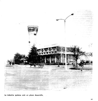 La industria química está en pleno desarrollo.
65
 