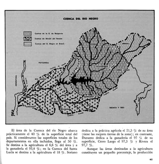 El área de la Cuenca del río Negro abarca
pr;icticamente el 40 1'0 de la superficie total del
país. Si consideramos las superficies totales de los
departamentos en ella incluidos, llega al 50 %.
Se destina a la agricultura el 6,6 % del área y a
la ganadería el 93,4 %; en la Cuenca del Santa
Lucía se destina a la agricultura el 18 %. Soriano
dedica a la práctica agrícola el 21,5 % de su área
(tiene las mejores tierras de la zona); en contraste,
Durazno dedica a la ganaderia el 97 % de su
superficie, Cerro Largo el 97,3 % y Rivera el
97,7 %.
. Aunque las áreas destinadas a la agricultura
constituyen un pequeño porcentaje, la producción
45
 