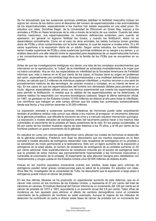 Se ha demostrado que las sustancias químicas sintéticas debilitan la fertilidad masculina incluso sin
signos tan obvios de los daños como el descenso del número de espermatozoides o las anormalidades
de los espermatozoides, especialmente si los machos han estado expuestos en una edad joven. En
estudios con ratas, Dorothea Sager, de la Universidad de Wisconsin en Green Bay, expuso a los
animales a PCBs en fases tempranas de la vida a través de la leche de sus madres. Cuando las ratas
machos maduraron, sus espermatozoides no mostraron deficiencias evidentes, pero cuando se
aparearon, en general no lograron fertilizar los óvulos, y cuando los fertilizaron, éstos no se
desarrollaron normalmente. Como en el caso de otros animales, los bebés humanos toman grandes
dosis de PCBs y otros contaminantes con la leche materna, lo cual les expone a niveles entre 10 y 40
veces superiores a la exposición diaria de un adulto. Según varios estudios, los hombres infértiles
tienen niveles superiores de PCBs y otras sustancias químicas sintéticas en su sangre o su semen, y un
análisis descubrió una alta relación entre la capacidad para desplazarse de un espermatozoide humano
y las concentraciones de miembros específicos de la familia de los PCBs que se encuentran en su
semen.
Antes de que las investigaciones biológicas nos dieran una idea de los complejos acontecimientos que
intervienen en la reproducción, la "culpa" de la infertilidad se achacaba invariablemente a la mujer que
no había concebido. Hoy en día, los especialistas en infertilidad de la Sociedad Americana de Fertilidad
informan que, más o menos en el 40 por ciento de los casos, el fracaso tiene su origen en problemas
del varón, especialmente una cantidad baja de espermatozoides o una motilidad deficiente. En Estados
Unidos, se calcula que 5,3 millones de individuos padecen infertilidad, y muchos recurren a una serie de
procedimientos médicos de alta tecnología, de carácter invasivo y complejo, en su intento de tener un
hijo. En los casos en que los espermatozoides del hombre son demasiado débiles para penetrar en un
óvulo, algunos especialistas utilizan ahora una técnica experimental que inserta los espermatozoides
para permitir la fertilización. A medida que la calidad de los espermatozoides se ha deteriorado, el
sistema médico ha respondido con recursos tecnológicos costosos. Según la última estimación oficial,
en 1987, se gastaban en los Estados Unidos 10.000 millones de dólares al año para tratar la infertilidad.
Los científicos que trabajan en este campo afirman que los costes han aumentado sustancialmente
desde esa fecha, y hoy podrían ascender a 20.000 millones.
La exposición prenatal a sustancias químicas imitadoras de hormonas puede estar exacerbando
también el problema médico más común que afecta a los machos al envejecer: el crecimiento doloroso
de la glándula prostática, que dificulta la excreción de orina y a menudo requiere intervención quirúrgica.
La exposición a niveles elevados de estrógenos antes del nacimiento parece hacer a los machos más
vulnerables al crecimiento de la próstata en fases posteriores de la vida. En los países occidentales, el
80 por ciento de los hombre muestran signos de esta dolencia a los 70 años, y el 45 por ciento de los
hombres padecen un grave crecimiento de la glándula.
En estudios en curso con ratones para determinar cómo afectan los niveles de hormonas al desarrollo
de la glándula prostática, Frederick vom Saal ha descubierto que los machos expuestos en la fase
prenatal a niveles elevados de estrógenos desarrollan más receptores de andrógenos en su próstata y
se sensibilizan de modo permanente a la testosterona. Sólo con un ligero aumento de la exposición a
estrógenos en la edad adulta, el número de receptores de andrógenos de su próstata aumenta un 50
por ciento adicional. Esta superabundancia de receptores inducida por el exceso de estrógenos hace
que la próstata de estos machos sea permanentemente hipersensible a las hormonas masculinas y
vulnerable al crecimiento de la próstata. El tratamiento de esta afección benigna pero debilitadora con
medicamentos y cirugía cuesta en los Estados Unidos unos 60.000 millones de dólares al año.
Incluso en los machos expuestos únicamente cuando son adultos, dosis bajas pero crónicas de
estrógenos pueden tener graves consecuencias para la salud de la próstata. En estudios con ratas,
Shuk Mei Ho, investigador de la universidad de Tufts, ha descubierto que la exposición a largo plazo a
estrógenos puede inducir el cáncer de próstata.
En las dos últimas décadas se ha producido un espectacular aumento de esta dolencia, que es el
cáncer más común en los hombres de los Estados Unidos, y representa el 27 por ciento del total de
cánceres en varones. El Instituto Nacional del Cáncer informa de un incremento del 126 por ciento en el
cáncer de próstata de 1973 a 1991, equivalente a un aumento anual del 3,9 por ciento. Tales cifras de
incidencia se han ajustado para eliminar el efecto de cambios demográficos como el constante
crecimiento de la población de hombres en edad avanzada. Aunque la mejora de los métodos de
detección ha contribuido en parte a ofrecer estas tasas de cáncer de próstata con un incremento tan
Informativos.Net
http://www.informativos.net
 