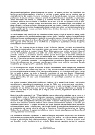 Numerosas investigaciones sobre el desarrollo del cerebro y el sistema nervioso han descubierto que
las hormonas tiroideas ayudan a organizar el complejo proceso gradual que se requiere para un
desarrollo normal del cerebro. Como se ha indicado en el Capítulo 3, estas hormonas estimulan la
proliferación de células nerviosas y después guían la liberación ordenada de las células nerviosas a las
zonas adecuadas del cerebro. El cerebro y el sistema nervioso, como otras partes del cuerpo,
atraviesan periodos críticos durante su desarrollo en el útero y en los dos primeros años de vida.
Cuando los niveles de hormona tiroidea son demasiado altos o demasiado bajos, este proceso de
desarrollo saldrá mal y se producirán daños permanentes, que pueden ir desde el retraso mental hasta
trastornos de comportamiento y discapacidades de aprendizaje más sutiles. La naturaleza exacta de los
daños causados por los niveles anormales de hormonas tiroideas dependerán del momento y de la
amplitud de la alteración.
Se ha reconocido hace tiempo que una deficiencia tiroidea aguda durante el embarazo puede causar
retraso mental profundo, pero la investigadora en tiroides, Susan Porterfield, endocrinóloga del Colegio
Médico de Georgia, señala que pocos han tenido en cuenta los efectos más sutiles de una alteración de
tiroides menos grave durante el desarrollo del cerebro y el sistema nervioso, una alteración que puede
tener lugar de forma natural o ser el resultado de la presencia de sustancias químicas disruptoras
hormonales en el medio ambiente.
Los PCBs y las dioxinas afectan al sistema tiroideo de formas diversas, complejas y comprendidas
todavía de forma incompleta. Algunos análisis indican que pueden imitar o bloquear la acción hormonal
normal quizá uniéndose al receptor tiroideo. Otros datos sugieren que podrían aumentar incluso el
número de receptores presentes para recibir las señales hormonales. También parecen actuar en
particular sobre la T4, la forma de hormona tiroidea que es decisiva para el desarrollo prenatal del
cerebro. Los investigadores Daniel Ness y Susan Schantz, de la Universidad de Illinois, han establecido
que dos PCBs que se encuentran habitualmente en tejidos humanos y en la leche materna, el PCB-118
y el PCB-153, reducen los niveles de T4 en ratas expuestas prenatalmente. Éstos compiten también de
forma más dolorosa que las hormonas naturales para unirse a una proteína transmisora llamada
transtiretina, que transporta la T4 a las células del cerebro.
En un artículo publicado en julio de 1994 en la revista Environmental Health Perspectives, Porterfield
exponía su teoría de que "niveles muy bajos" de PCBs y dioxinas --niveles situados muy por debajo de
los que generalmente se reconocen como tóxicos-- pueden alterar la función tiroidea en la madre y en el
hijo no nacido y alterar, por tanto, el desarrollo neurológico. Al igual que Sharpe y Skakkebaek,
Porterfield cita datos que indican que unos niveles hormonales desviados en el útero pueden causar
daños permanentes, en este caso discapacidades de aprendizaje, problemas de atención e
hiperactividad.
Las pruebas que están apareciendo que vinculan los PCBs con la alteración del tiroides y los cambios
neurológicos es especialmente preocupante porque los PCBs son un contaminante persistente y
omnipresente y los niveles habían descendido inicialmente en el tejido humano pero han permanecido
constantes en los últimos años, aun cuando la mayoría de los países industriales han dejado de
fabricarlos hace más de una década. En la antigua Unión Soviética, la producción de PCBs no se
detuvo hasta 1990.
Basándose en la concentración de PCBs en la leche materna, algunos han calculado que al menos el 5
por ciento de los bebés de Estados Unidos están expuestos a niveles suficientes de contaminantes para
causar daños neurológicos. Pero aunque la mayoría de los datos sobre efectos neurológicos tienen que
ver con los PCBs, es importante subrayar que los PCBs no son en modo alguno los únicos culpables.
Muchas otras sustancias químicas sintéticas actúan también como hormonas tiroideas, lo cual hace que
aumente la preocupación. El sistema tiroideo es uno de los objetivos más frecuentes de las sustancias
químicas sintéticas, según Linda Birnbaum, que dirige la división de toxicología ambiental del laboratorio
de investigación de efectos sobre la salud de la Agencia de Protección Ambiental de los Estados
Unidos. Con la posibilidad de agresiones múltiples al sistema tiroideo, los peligros para el desarrollo del
cerebro pueden ser considerables.
Los animales de laboratorio expuestos a PCBs en el útero y en las primeras etapas de su vida muestran
habitualmente anormalidades de comportamiento cuando son adultos. Las crías de algunos ratones a
los que se administraba dosis relativamente bajas de PCBs desarrollan un "síndrome giratorio" en el
que describen círculos constantemente en su jaula. Otros ratones expuestos, aunque no muestran
Informativos.Net
http://www.informativos.net
 