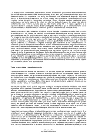 Los investigadores comienzan a apreciar ahora el sinfín de beneficios que conlleva el amamantamiento,
que no sólo ayuda en la vinculación entre la madre y el hijo, sino que también proporciona al hijo una
importante protección inmunitaria y un sinfín de sustancias que refuerzan el desarrollo. Al mismo
tiempo, el amamantamiento expone a los niños a niveles preocupantes de contaminantes químicos,
incluidos varios disruptores hormonales conocidos. Según diversos estudios realizados sobre
contaminación de leche materna, los niños en edad de lactancia ingieren las dosis más alta de
contaminantes que recibirán durante toda su vida, niveles entre 10 y 40 veces superiores a la
exposición diaria de un adulto. No deja de ser una tragedia el hecho de que el amamantamiento sea la
única manera eficaz de eliminar estas sustancias químicas persistentes del cuerpo humano.
Sabemos demasiado poco para emitir un juicio acerca de cómo los innegables beneficios de la lactancia
se equilibran con los riesgos de transferir contaminantes hormonalmente activos. Aunque nuestra
preocupación es grande, es prematuro aconsejar a las mujeres que abandonen el amamantamiento.
Por otra parte, algunos estudios sugieren que la transferencia de contaminantes en el útero antes del
nacimiento podría tener una repercusión mucho mayor que cualquier transferencia que tenga lugar
durante la lactancia. Así pues, en el periodo de lactancia puede haber tenido lugar ya gran parte del
impacto potencial. Es necesario y urgente investigar para determinar si las concentraciones de
sustancias químicas disruptoras hormonales en la leche humana representan un peligro suficiente como
para hacer que el amamantamiento no sea aconsejable para algunas mujeres, quizás las que tienen su
primer hijo en épocas más tardías. Estas mujeres de más edad transportarán generalmente una carga
muy superior de sustancias químicas persistentes que las madres primerizas de 20 años de edad.
Aunque la leche de vaca carece de algunos de los beneficios específicos de la leche humana, sólo
contiene la quinta parte de concentración de contaminantes persistentes porque las vacas son animales
de vida más corta, son vegetarianos y eliminan constantemente los contaminantes de su cuerpo al ser
ordeñadas a diario. No podemos permitirnos pasar por alto la acuciante cuestión de los contaminantes
persistentes que contrapesan los beneficios del amamantamiento frente a alternativas como el biberón
con una fórmula basada en la leche de vaca.
Evitar exposiciones y usos innecesarios
Debemos lavarnos las manos con frecuencia. Los estudios indican que muchas sustancias químicas
sintéticas se evaporan y después se asientan en superficies interiores --mostradores, mesas, muebles,
vestidos-- donde pueden ser recogidas fácilmente por quienes las toquen. De hecho, los expertos en
aire de interiores toman ahora las muestras para estudiar la contaminación en el interior de los edificios
pasando instrumentos especiales por determinadas superficies. Desarrollar el hábito de lavarse las
manos, especialmente en el caso de los niños, que a menudo se sientan o juegan en el suelo, es una
manera sencilla y eficaz de reducir la exposición.
No dar por supuesto nunca que un plaguicida es seguro. Cualquier sustancia concebida para alterar
organismos vivos --plantas o animales-- puede resultar también nocivo para el ser humano u otros
animales de manera inesperada. Recordemos el descubrimiento del investigador de la EPA, Earl Gray,
según el cual los productos concebidos para matar hongos en la fruta y las verduras pueden interferirse
con la síntesis de hormonas esteroides en animales y con toda probabilidad también en seres humanos.
El uso casual de plaguicidas alrededor de las viviendas y en los jardines con fines frívolos y cosméticos
es peligroso e irresponsable. En Estados Unidos, se aplican cantidades mayores de plaguicidas por
hectárea en los barrios residenciales que en los terrenos agrícolas, en gran medida para respaldar la
obsesión nacional por los céspedes verdes y sin malas hierbas. Los estudios han comprobado que los
niños y los perros que viven en viviendas donde se usan plaguicidas en el hogar y en el jardín
presentan tasas superiores de cáncer. Los estudios epidemiológicos realizados hasta la fecha no han
buscado las clases de problemas funcionales y de desarrollo que se reseñan en este libro.
Hagamos crecer nuestro césped sin plaguicidas y animemos a nuestros vecinos a hacer lo mismo. Si se
empeñan en seguir utilizando plaguicidas, insistamos en que pongan un aviso en el césped en las
fechas en que se realiza el tratamiento. No dejemos que nuestros niños y animales domésticos salgan.
Organicémonos en el vecindario para fijar normas estrictas para el tratamiento del césped con
sustancias químicas. Los servicios de cuidados de césped intentan a veces tranquilizar a los clientes
intranquilos diciéndoles que los plaguicidas que utilizan han sido aprobados por la EPA. La Agencia de
Protección Ambiental (EPA) nunca ha analizado la mayoría de los plaguicidas que ahora se encuentran
en el mercado para determinar su actividad como disruptores hormonales, y el registro de la Agencia de
Informativos.Net
http://www.informativos.net
 