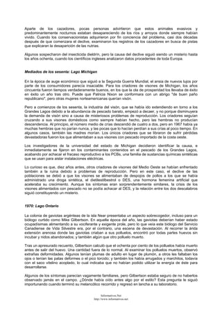 Aparte de los cazadores, pocas personas advirtieron que estos animales evasivos y
predominantemente nocturnos estaban desapareciendo de los ríos y arroyos donde siempre habían
vivido. Cuando los conservacionistas adquirieron por fin conciencia del problema, casi dos décadas
después de que comenzara el declive, examinaron los registros de los cazadores en busca de pistas
que explicaran la desaparición de las nutrias.
Algunos sospecharon del insecticida dieldrín, pero la causa del declive siguió siendo un misterio hasta
los años ochenta, cuando los científicos ingleses analizaron datos procedentes de toda Europa.
Mediados de los sesenta: Lago Michigan
En la época de auge económico que siguió a la Segunda Guerra Mundial, el ansia de nuevos lujos por
parte de los consumidores parecía insaciable. Para los criadores de visones de Michigan, los años
cincuenta fueron tiempos verdaderamente buenos, en los que la ola de prosperidad los llevaba de éxito
en éxito un año tras otro. Puede que Patricia Nixon se conformara con un abrigo "de buen paño
republicano", pero otras mujeres norteamericanas querían visón.
Pero a comienzos de los sesenta, la industria del visón, que se había ido extendiendo en torno a los
Grandes Lagos debido a la abundancia de pescado barato, empezó a decaer, y no porque disminuyera
la demanda de visón sino a causa de misteriosos problemas de reproducción. Los criadores seguían
cruzando a sus visones domésticos como siempre habían hecho, pero las hembras no producían
descendencia. Al principio, el número medio de crías descendió de cuatro a dos, pero en 1967 había ya
muchas hembras que no parían nunca, y las pocas que lo hacían perdían a sus crías al poco tiempo. En
algunos casos, también las madres morían. Los únicos criadores que se libraron de sufrir pérdidas
devastadoras fueron los que alimentaban a sus visones con pescado importado de la costa oeste.
Los investigadores de la universidad del estado de Michigan decidieron identificar la causa, e
inmediatamente se fijaron en los contaminantes contenidos en el pescado de los Grandes Lagos,
acabando por achacar el fracaso reproductivo a los PCBs, una familia de sustancias químicas sintéticas
que se usan para aislar instalaciones eléctricas.
Lo curioso es que, diez años antes, otros criadores de visones del Medio Oeste se habían enfrentado
también a la ruina debido a problemas de reproducción. Pero en este caso, el declive de las
poblaciones se debió a que los visones se alimentaban de despojos de pollos a los que se había
administrado una droga sintética, el dietilestilbestrol o DES, una hormona femenina artificial que
aceleraba su crecimiento. Aunque los síntomas eran sorprendentemente similares, la crisis de los
visones alimentados con pescado no se podía achacar al DES, y la relación entre los dos descalabros
siguió constituyendo un misterio.
1970: Lago Ontario
La colonia de gaviotas argénteas de la isla Near presentaba un aspecto sobrecogedor, incluso para un
biólogo curtido como Mike Gilbertson. En aquella época del año, las gaviotas deberían haber estado
ocupadísimas alimentando a su vociferante y exigente prole, pero lo que veía este biólogo del Servicio
Canadiense de Vida Silvestre era, por el contrario, una escena de devastación. Al recorrer la árida
extensión arenosa donde las gaviotas criaban a sus polluelos, encontró por todas partes huevos sin
incubar y nidos abandonados; y también algún que otro polluelo muerto.
Tras un apresurado recuento, Gilbertson calculó que el ochenta por ciento de los polluelos había muerto
antes de salir del huevo. Una cantidad fuera de lo normal. Al examinar los polluelos muertos, observó
extrañas deformidades. Algunos tenían plumas de adulto en lugar de plumón, a otros les faltaban los
ojos o tenían las patas deformes o el pico torcido; y también los había arrugados y marchitos, todavía
con el saco vitelino acoplado, lo cual indicaba que no habían podido utilizar la energía de éste para
desarrollarse.
Algunos de los síntomas parecían vagamente familiares, pero Gilbertson estaba seguro de no haberlos
observado jamás en el campo. ¿Dónde había oído antes algo por el estilo? Esta pregunta le siguió
importunando cuando terminó su melancólico recorrido y regresó en lancha a su laboratorio.
Informativos.Net
http://www.informativos.net
 