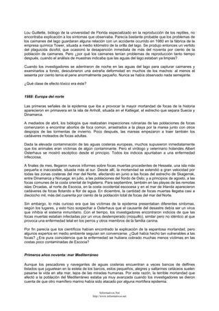 Lou Guillette, biólogo de la universidad de Florida especializado en la reproducción de los reptiles, no
encontraba explicación a los síntomas que observaba. Parecía bastante probable que los problemas de
los caimanes del lago guardaran alguna relación con un accidente ocurrido en 1980 en la fábrica de la
empresa química Tower, situada a medio kilómetro de la orilla del lago. Se produjo entonces un vertido
del plaguicida dicofol, que ocasionó la desaparición inmediata de más del noventa por ciento de la
población de caimanes. Pero ¿por qué los caimanes tenían problemas de reproducción tanto tiempo
después, cuando el análisis de muestras indicaba que las aguas del lago estaban ya limpias?
Cuando los investigadores se adentraron de noche en las aguas del lago para capturar caimanes y
examinarlos a fondo, descubrieron una extraña deformidad en muchos de los machos: al menos el
sesenta por ciento tenía el pene anormalmente pequeño. Nunca se había observado nada semejante.
¿Qué clase de efecto tóxico era éste?
1988: Europa del norte
Las primeras señales de la epidemia que iba a provocar la mayor mortandad de focas de la historia
aparecieron en primavera en la isla de Anholt, situada en el Kattegat, el estrecho que separa Suecia y
Dinamarca.
A mediados de abril, los biólogos que realizaban inspecciones rutinarias de las poblaciones de focas
comenzaron a encontrar abortos de foca común, arrastrados a la playa por la marea junto con otros
despojos de las tormentas de invierno. Poco después, las mareas empezaron a traer también los
cadáveres moteados de focas adultas.
Dada la elevada contaminación de las aguas costeras europeas, muchos supusieron inmediatamente
que los animales eran víctimas de algún contaminante. Pero el virólogo y veterinario holandés Albert
Osterhaus se mostró escéptico desde el principio. Todos los indicios apuntaban a una enfermedad
infecciosa.
A finales de mes, llegaron nuevos informes sobre focas muertas procedentes de Hesselø, una isla más
pequeña e inaccesible, situada más al sur. Desde allí, la mortandad se extendió a gran velocidad por
todas las zonas costeras del mar del Norte, afectando en junio a las focas del estrecho de Skagerrak,
entre Dinamarca y Noruega; en julio, a las poblaciones del fiordo de Oslo; y a principios de agosto, a las
focas comunes de la costa oriental de Inglaterra. Para septiembre, también en las playas de las remotas
islas Orcadas, al norte de Escocia, en la costa occidental escocesa y en el mar de Irlanda aparecieron
cadáveres de focas flotando a flor de agua. En diciembre, la cantidad de focas muertas llegaba casi a
dieciocho mil, más del cuarenta por ciento de la población total de focas del mar del Norte.
Sin embargo, lo más curioso era que las víctimas de la epidemia presentaban diferentes síntomas,
según los lugares, y esto hizo sospechar a Osterhaus que el causante del desastre debía ser un virus
que inhibía el sistema inmunitario. Con el tiempo, los investigadores encontraron indicios de que las
focas muertas estaban infectadas por un virus destemperado (moquillo), similar pero no idéntico al que
provoca una enfermedad letal en los perros y otros miembros de la familia canina.
Por fin parecía que los científicos habían encontrado la explicación de la espantosa mortandad, pero
algunos expertos en medio ambiente seguían sin convencerse. ¿Qué había hecho tan vulnerables a las
focas? ¿Era pura coincidencia que la enfermedad se hubiera cobrado muchas menos víctimas en las
costas poco contaminadas de Escocia?
Primeros años noventa: mar Mediterráneo
Aunque los pescadores y navegantes de aguas costeras encuentran a veces bancos de delfines
listados que juguetean en la estela de los barcos, estos pequeños, alegres y saltarines cetáceos suelen
pasarse la vida en alta mar, lejos de las miradas humanas. Por esta razón, la terrible mortandad que
afectó a la población del Mediterráneo estaba ya muy avanzada cuando los investigadores se dieron
cuenta de que otro mamífero marino había sido atacado por alguna mortífera epidemia.
Informativos.Net
http://www.informativos.net
 