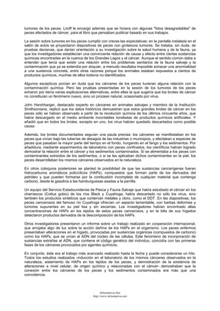 tumores de los peces. Liroff le encargó además que se hiciera con algunas "fotos desagradables" de
peces afectados de cáncer, para el libro que pensaban publicar basado en sus trabajos.
La sesión sobre tumores en los peces cumplió con creces las expectativas: en la pantalla instalada en el
salón de actos se proyectaron diapositivas de peces con grotescos tumores. Se trataba, sin duda, de
pruebas decisivas, que darían orientación a su investigación sobre la salud humana y de la fauna, ya
que los investigadores establecían una convincente relación de causa y efecto entre ciertas sustancias
químicas encontradas en la cuenca de los Grandes Lagos y el cáncer. Aunque el sentido común daba a
entender que tenía que existir una relación entre los problemas sanitarios de la fauna salvaje y la
contaminación que ya se extendía por doquier, a menudo resultaba imposible achacar una anormalidad
a una sustancia concreta, entre otras razones porque los animales estaban expuestos a cientos de
productos químicos, muchas de ellos todavía no identificados.
Algunos escépticos ponían en duda que los cánceres de los peces tuvieran alguna relación con la
contaminación química. Pero las pruebas presentadas en la sesión de los tumores de los peces
echaron por tierra varias explicaciones alternativas, entre ellas la que sugería que los brotes de cáncer
no constituían un fenómeno nuevo, sino un proceso natural, ocasionado por virus.
John Harshbarger, destacado experto en cánceres en animales salvajes y miembro de la Institución
Smithsoniana, replicó que los datos históricos demuestran que estos grandes brotes de cáncer en los
peces sólo se habían observado a partir de la revolución química de los últimos cincuenta años, que
había descargado en el medio ambiente incontables toneladas de productos químicos artificiales. Y
añadió que en todos los brotes, excepto en uno, los virus habían quedado descartados como posible
causa.
Además, los brotes documentados seguían una pauta precisa: los cánceres se manifestaban en los
peces que vivían bajo las tuberías de desagüe de las industrias o municipios, y afectaban a especies de
peces que pasaban la mayor parte del tiempo en el fondo, hurgando en el fango y los sedimentos. Por
añadidura, mediante experimentos de laboratorio con peces confinados, los científicos habían logrado
demostrar la relación entre el cáncer y los sedimentos contaminados. Si se alimentaba a los peces con
contaminantes extraídos de los sedimentos, o si se les aplicaban dichos contaminantes en la piel, los
peces desarrollaban los mismos cánceres observados en la naturaleza.
En otros coloquios posteriores se planteó la posibilidad de que las sustancias cancerígenas fueran
hidrocarburos aromáticos policíclicos (HAPs), compuestos que forman parte de los derivados del
petróleo y que pueden formarse por la combustión incompleta de cualquier material que contenga
carbono, desde la gasolina a las hamburguesas asadas a la parrilla.
Un equipo del Servicio Estadounidense de Pesca y Fauna Salvaje que había estudiado el cáncer en los
charrascos (Cottus gobio) de los ríos Black y Cuyahoga, había descartado no sólo los virus, sino
también los productos sintéticos que contenían metales y cloro, como el DDT. En las diapositivas, los
peces cancerosos del famoso río Cuyahoga ofrecían un aspecto lamentable, con barbas deformes y
tumores supurantes en su piel lisa y sin escamas. Los investigadores habían encontrado altas
concentraciones de HAPs en los tejidos de estos peces cancerosos, y en la bilis de sus hígados
detectaron productos derivados de la descomposición de los HAPs.
Otros investigadores presentaron un informe sobre un trabajo realizado en cooperación internacional,
que arrojaba algo de luz sobre la acción dañina de los HAPs en el organismo. Los peces enfermos
presentaban alteraciones en el hígado, provocadas por sustancias orgánicas (compuestos de carbono)
como los HAPs, que se unían al ADN del núcleo de las células. Este fenómeno de incorporación de
sustancias extrañas al ADN, que contiene el código genético del individuo, coincidía con las primeras
fases de los cánceres provocados por agentes químicos.
En conjunto, éste era el trabajo más avanzado realizado hasta la fecha y puede considerarse un hito.
Todos los estudios realizados -inducción en el laboratorio de los mismos cánceres observados en la
naturaleza, aislamiento de HAPs en los tejidos de los peces, y demostración de la existencia de
alteraciones a nivel celular, de origen químico y relacionadas con el cáncer- demostraban que la
conexión entre los cánceres de los peces y los sedimentos contaminados era más que una
coincidencia.
Informativos.Net
http://www.informativos.net
 