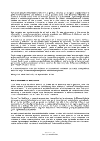 Pero existe otra glándula endocrina, la hipófisis (o glándula pituitaria), que cuelga de un pedúnculo en la
parte inferior del cerebro, justo detrás de la nariz, y que actúa como centro de control, indicando a los
ovarios o al tiroides cuándo enviar sus mensajes químicos y en qué cantidad. La glándula pituitaria se
basa en la información procedente de una parte cercana del cerebro, llamada hipotálamo: un centro
cerebral del tamaño de una cucharilla, situado en la parte inferior del cerebro, y que controla
constantemente los niveles de hormonas en la sangre, más o menos como un termostato controla la
temperatura del aire en una casa. Si los niveles de una hormona son demasiado altos o demasiado
bajos, el hipotálamo envía un mensaje a la glándula pituitaria, y ésta indica a la glándula productora de
la hormona que aumente la producción, la reduzca o la suspenda.
Los mensajes van constantemente de un lado a otro. Sin esta conversación o intercambio de
información, el cuerpo humano sería un anárquico amasijo de unos 50 billones de células, en lugar de
un organismo integrado que funciona con un guión único.
A medida que los científicos han ido profundizando en el funcionamiento de los sistemas nervioso,
inmunitario y endocrino -las tres grandes redes integradoras del organismo-, han ido encontrando
estrechas interconexiones: entre el cerebro y el sistema inmunitario, entre el sistema inmunitario y el
endocrino, y entre el sistema endocrino y el cerebro. Algunas de las conexiones parecen
completamente desconcertantes. Por ejemplo: ¿cómo es posible que una mujer que padece un
trastorno de personalidad múltiple pueda jugar durante horas con un gato cuando está en una de sus
personalidades, y sufrir violentas reacciones alérgicas a los gatos cuando adopta otra personalidad?
Nadie conoce la respuesta a esta pregunta, pero es seguro que se encuentra en la conversación interna
y el constante tráfico de mensajeros químicos. Los cambios producidos en una parte de este complejo
sistema interconectado pueden tener consecuencias espectaculares e inesperadas en otra parte, a
menudo donde menos se espera, porque todo está conectado con todo lo demás. Un tumor cerebral,
por ejemplo, puede manifestarse en forma de trastornos del ciclo menstrual o de hipersensibilidad de la
piel, y no con dolores de cabeza.
Y si las hormonas son vitales para mantener el funcionamiento correcto en los adultos, su importancia
es quizás mayor aun en el complicado proceso del desarrollo prenatal.
Pero ¿cómo podía Vom Saal poner a prueba esta teoría?
Practicando cesáreas a las ratonas.
Justo antes de que las ratonas dieran a luz, al final de sus diecinueve días de gestación, Vom Saal
extrajo las crías, que medían unos dos centímetros y medio de longitud y tenían el tamaño aproximado
de una aceituna. Las marcó para indicar su posición relativa a sus compañeros de útero, y así pudo
descubrir dónde habían pasado su período prenatal las hembras agresivas. Así comenzó Vom Saal su
estudio de lo que algunos colegas suyos han llamado jocosamente "el efecto compañero de útero",
conocido formalmente como fenómeno de posición intrauterina.
Aunque Vom Saal tiene ya cuarenta y nueve años y es profesor en la universidad de Missouri, todavía
conserva un aspecto lo bastante juvenil como para que le confundan con un estudiante posgraduado.
En un mundo científico en el que pocos se aventuran más allá de los estrechos límites de sus
especialidades, Vom Saal pretende abarcar el proceso completo, declarando sin reparos que lo que le
interesa es la biología "del útero a la tumba". Se mueve con soltura de los elegantes estudios
especializados al planteamiento de preguntas más amplias y fundamentales: ¿Por qué sucede tal cosa?
¿Qué significado evolutivo tiene?
Aquellos primeros estudios en Austin confirmaron su teoría. Cuando maduraron los ratones alumbrados
con cesárea, las hembras agresivas resultaron ser, como él había predicho, las que se habían
desarrollado entre dos hermanos machos. Cada descubrimiento planteaba nuevas preguntas, que
obligaban a realizar nuevos estudios, hasta que llegó a observar miles de ratones alumbrados por
cesárea. La agresividad resultó ser el signo más evidente de las profundas diferencias entre hermanas,
que se podían predecir con bastante exactitud a partir de su posición en el útero.
Informativos.Net
http://www.informativos.net
 