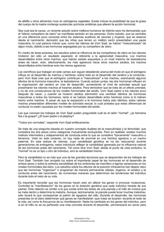 de alfalfa u otros alimentos ricos en estrógenos vegetales. Existe incluso la posibilidad de que la grasa
del cuerpo de la madre contenga sustancias químicas sintéticas que alteren la acción hormonal.
Sea cual sea la causa, un reciente estudio sobre mellizos humanos de distinto sexo ha demostrado que
el "efecto compañero de útero" se manifiesta también en las personas. Dicho estudio, que se centraba
en una diferencia poco conocida entre los sistemas auditivos de varones y mujeres, que se observa
desde el nacimiento, demostró que las niñas que tenían un mellizo varón presentaban una pauta
masculina, lo cual parecía indicar que, como las ratonas de Vom Saal, se habían "masculinizado" de
algún modo, debido a las hormonas segregadas por su compañero de útero.
En medio de tanta sorpresa, los estudios sobre la influencia de los compañeros de útero en los ratones
rindieron tan sólo un resultado esperado: el referente a la agresividad masculina. Los machos
desarrollados entre otros machos, que habían estado expuestos a un nivel máximo de testosterona
antes de nacer, eran, efectivamente, los más agresivos hacia otros machos adultos; los machos
desarrollados entre hembras eran los menos agresivos.
Los científicos que trabajan en este campo aún siguen debatiendo acerca del modo en que el estrógeno
influye en el desarrollo de machos y hembras -sobre todo en el desarrollo del cerebro y la conducta-,
pero Vom Saal cree que el estrógeno contribuye a "masculinizar" a los machos, acentuando algunos
efectos de la hormona masculina, la testosterona. Cuando actúan juntas, las dos hormonas influyen en
la organización del cerebro en vías de desarrollo, aumentando el nivel de actividad sexual que
presentarán los ratones machos al hacerse adultos. Para demostrar que se trata de un efecto prenatal,
y no de una consecuencia de los niveles hormonales del adulto, Vom Saal castró a los ratones poco
después de nacer, y cuando se hicieron adultos administró una cantidad idéntica de hormonas
masculinas a todos los hermanos, tanto si se habían desarrollado entre hembras como si lo habían
hecho entre machos. A pesar de que la exposición a la hormona había sido idéntica, estos ratones
machos presentaban diferentes niveles de actividad sexual, lo cual probaba que estas diferencias de
conducta no están causadas por los niveles hormonales del adulto.
Los que conocen los trabajos de Vom Saal suelen preguntarle cuál es el ratón "normal": ¿la hermana
fea o la guapa? ¿El buen padre o el playboy?
"Todos son normales", responde Vom Saal enfáticamente.
Se trata de una pregunta basada en nuestro concepto dualista de la masculinidad y la feminidad, que
considera los dos sexos como categorías mutuamente excluyentes. Pero en realidad, existen muchos
matices intermedios y solapamientos de conducta entre lo que se considera "típicamente" masculino o
femenino. Visto en este contexto, no hay nada de anormal en una hembra agresiva o un macho
paternal. En esta estirpe de ratones, cuya variabilidad genética se ha ido reduciendo durante
generaciones de endogamia, estos individuos reflejan la variabilidad generada por la influencia natural
de las hormonas antes del nacimiento. Tal como dice Vom Saal, desde el punto de vista evolutivo, lo
"normal" no es un tipo u otro de individuo, sino la variabilidad misma.
Pero la variabilidad no es más que una de las grandes lecciones que se desprenden de los trabajos de
Vom Saal. También han arrojado luz sobre el importante papel de las hormonas en el desarrollo de
ambos sexos y sobre la extrema sensibilidad de los embriones de mamífero a ligeras variaciones en los
niveles hormonales del útero. Los estudios sobre los efectos de la posición intrauterina han dejado claro
que las hormonas "organizan" o programan de manera permanente células, órganos, el cerebro y la
conducta antes del nacimiento, de numerosas maneras que determinan las tendencias del individuo
durante todo el resto de su vida.
Es importante recordar que las hormonas hacen esto sin alterar los genes ni provocar mutaciones.
Controlan la "manifestación" de los genes en la dotación genética que cada individuo hereda de sus
padres. Esta relación es similar a la que existe entre las teclas de una pianola y el rollo de música que
se mete dentro y determina la melodía. Aunque, teóricamente, la pianola puede tocar muchas melodías,
sólo tocará la que corresponde al patrón de agujeros del rollo. Durante el desarrollo, las hormonas
presentes en el útero determinan qué genes se manifestarán -qué notas se tocarán- durante el resto de
la vida, así como la frecuencia de su manifestación. Nada ha cambiado en los genes del individuo, pero
si en el rollo no se ha perforado una nota concreta durante el desarrollo, permanecerá sin sonar para
Informativos.Net
http://www.informativos.net
 