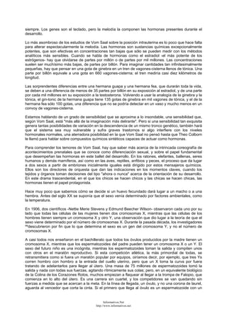 siempre. Los genes son el teclado, pero la melodía la componen las hormonas presentes durante el
desarrollo.
Lo más asombroso de los estudios de Vom Saal sobre la posición intrauterina es lo poco que hace falta
para alterar espectacularmente la melodía. Las hormonas son sustancias químicas excepcionalmente
potentes, que son efectivas en concentraciones tan bajas que sólo se pueden medir con los métodos
analíticos más sensibles. Cuando se habla de hormonas como el estradiol -el más potente de los
estrógenos- hay que olvidarse de partes por millón o de partes por mil millones. Las concentraciones
suelen ser muchísimo más bajas, de partes por billón. Para imaginar cantidades tan infinitesimalmente
pequeñas, hay que pensar en una gota de ginebra en un tren de vagones-cisterna llenos de tónica. Una
parte por billón equivale a una gota en 660 vagones-cisterna; el tren mediría casi diez kilómetros de
longitud.
Las sorprendentes diferencias entre una hermana guapa y una hermana fea, que durarán toda la vida,
se deben a una diferencia de menos de 35 partes por billón en su exposición al estradiol, y de una parte
por cada mil millones en su exposición a la testosterona. Volviendo a usar la analogía de la ginebra y la
tónica, el gin-tonic de la hermana guapa tiene 135 gotas de ginebra en mil vagones de tónica, y el de la
hermana fea sólo 100 gotas, una diferencia que no se podría detectar en un vaso y mucho menos en un
convoy de vagones-cisterna.
Estamos hablando de un grado de sensibilidad que se aproxima a lo insondable, una sensibilidad que,
según Vom Saal, está "más allá de la imaginación más delirante". Pero si una sensibilidad tan exquisita
genera tantas posibilidades de variación en la descendencia de un mismo tronco genético, también hará
que el sistema sea muy vulnerable y sufra graves trastornos si algo interfiere con los niveles
hormonales normales, una aterradora posibilidad en la que Vom Saal no pensó hasta que Theo Colborn
le llamó para hablar sobre compuestos químicos sintéticos capaces de actuar como hormonas.
Para comprender los temores de Vom Saal, hay que saber más acerca de la intrincada coreografía de
acontecimientos prenatales que se conoce como diferenciación sexual, y sobre el papel fundamental
que desempeñan las hormonas en este ballet del desarrollo. En los ratones, elefantes, ballenas, seres
humanos y demás mamíferos, así como en las aves, reptiles, anfibios y peces, el proceso que da lugar
a dos sexos a partir de embriones inicialmente iguales está dirigido por estos mensajeros químicos.
Ellos son los directores de orquesta que dan las indicaciones en los momentos claves, cuando los
tejidos y órganos toman decisiones del tipo "ahora o nunca" acerca de la orientación de su desarrollo.
En este drama trascendental, en el que los chicos se hacen chicos y las chicas se hacen chicas, las
hormonas tienen el papel protagonista.
Hace muy poco que sabemos cómo se decide si un huevo fecundado dará lugar a un macho o a una
hembra. Antes del siglo XX se suponía que el sexo venía determinado por factores ambientales, como
la temperatura.
En 1906, dos científicos -Nettie Merie Stevens y Edmund Beecher Wilson- observaron cada uno por su
lado que todas las células de las mujeres tienen dos cromosomas X, mientras que las células de los
hombres tienen siempre un cromosoma X y otro Y, una observación que dio lugar a la teoría de que el
sexo viene determinado por el número de cromosomas X. Durante la pasada década, los investigadores
ººdescubrieron por fin que lo que determina el sexo es un gen del cromosoma Y, y no el número de
cromosomas X.
A casi todos nos enseñaron en el bachillerato que todos los óvulos producidos por la madre tienen un
cromosoma X, mientras que los espermatozoides del padre pueden tener un cromosoma X o un Y. El
sexo del futuro niño es una incógnita, mientras los espermatozoides toman la salida y compiten unos
con otros en el maratón reproductivo. Si esta competición atlética, la más primordial de todas, se
retransmitiera como si fuera un maratón popular por equipos, oiríamos decir, por ejemplo, que tres Ys
corren hombro con hombro a la entrada del cuello uterino, pero que un X toma la curva por fuera
tratando de adelantarlos para llegar al útero. Una masa de 75 millones de espermatozoides tomó la
salida y nada con todas sus fuerzas, agitando rítmicamente sus colas; pero, en un equivalente biológico
de la Colina de los Corazones Rotos, muchos empiezan a flaquear al llegar a la trompa de Falopio, que
comienza en lo alto del útero. Es una carrera sin cuartel, y los competidores se van quedando sin
fuerzas a medida que se acercan a la meta. En la línea de llegada, un óvulo, y no una corona de laurel,
aguarda al vencedor que corta la cinta. Si el primero que llega al óvulo es un espermatozoide con un
Informativos.Net
http://www.informativos.net
 