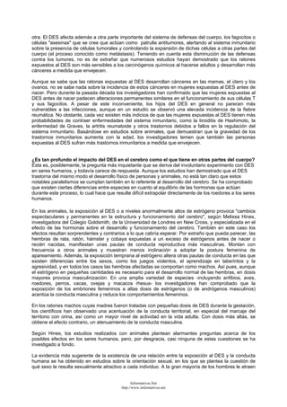 otra. El DES afecta además a otra parte importante del sistema de defensas del cuerpo, los fagocitos o
células "asesinas" que se cree que actúan como patrulla antitumores, alertando al sistema inmunitario
sobre la presencia de células tumorales y controlando la expansión de dichas células a otras partes del
cuerpo (el proceso conocido como metástasis). Teniendo en cuenta esta disminución de las defensas
contra los tumores, no es de extrañar que numerosos estudios hayan demostrado que los ratones
expuestos al DES son más sensibles a los carcinógenos químicos al hacerse adultos y desarrollan más
cánceres a medida que envejecen.
Aunque se sabe que las ratonas expuestas al DES desarrollan cánceres en las mamas, el útero y los
ovarios, no se sabe nada sobre la incidencia de estos cánceres en mujeres expuestas al DES antes de
nacer. Pero durante la pasada década los investigadores han confirmado que las mujeres expuestas al
DES antes de nacer padecen alteraciones permanentes similares en el funcionamiento de sus células T
y sus fagocitos. A pesar de este inconveniente, los hijos del DES en general no parecen más
vulnerables a las infecciones, aunque en un estudio se observó una elevada incidencia de la fiebre
reumática. No obstante, cada vez existen más indicios de que las mujeres expuestas al DES tienen más
probabilidades de contraer enfermedades del sistema inmunitario, como la tiroiditis de Hashimoto, la
enfermedad de Graves, la artritis reumatoide y otros trastornos debidos a fallos en la regulación del
sistema inmunitario. Basándose en estudios sobre animales, que demuestran que la gravedad de los
trastornos inmunitarios aumenta con la edad, los investigadores temen que también las personas
expuestas al DES sufran más trastornos inmunitarios a medida que envejecen.
¿Es tan profundo el impacto del DES en el cerebro como el que tiene en otras partes del cuerpo?
Ésta es, posiblemente, la pregunta más inquietante que se deriva del involuntario experimento con DES
en seres humanos, y todavía carece de respuesta. Aunque los estudios han demostrado que el DES
trastorna del mismo modo el desarrollo físico de personas y animales, no está tan claro que estos
notables paralelismos se cumplan también en lo referente al desarrollo del cerebro. Se ha comprobado
que existen ciertas diferencias entre especies en cuanto al equilibrio de las hormonas que actúan
durante este proceso, lo cual hace que resulte difícil extrapolar directamente de los roedores a los seres
humanos.
En los animales, la exposición al DES o a niveles anormalmente altos de estrógeno provoca "cambios
espectaculares y permanentes en la estructura y funcionamiento del cerebro", según Melissa Hines,
investigadora del Colegio Goldsmith, de la Universidad de Londres en New Cross, y especializada en el
efecto de las hormonas sobre el desarrollo y funcionamiento del cerebro. También en este caso los
efectos resultan sorprendentes y contrarios a lo que cabría esperar. Por extraño que pueda parecer, las
hembras de rata, ratón, hámster y cobaya expuestas a un exceso de estrógenos antes de nacer o
recién nacidas, manifiestan unas pautas de conducta reproductiva más masculinas. Montan con
frecuencia a otros animales y muestran menos inclinación a adoptar la postura femenina de
apareamiento. Además, la exposición temprana al estrógeno altera otras pautas de conducta en las que
existen diferencias entre los sexos, como los juegos violentos, el aprendizaje en laberintos y la
agresividad, y en todos los casos las hembras afectadas se comportan como machos. Así pues, aunque
el estrógeno en pequeñas cantidades es necesario para el desarrollo normal de las hembras, en dosis
mayores provoca masculinización. En una amplia variedad de especies -incluyendo anfibios, aves,
roedores, perros, vacas, ovejas y macacos rhesus- los investigadores han comprobado que la
exposición de los embriones femeninos a altas dosis de estrógenos (o de andrógenos masculinos)
acentúa la conducta masculina y reduce los comportamientos femeninos.
En los ratones machos cuyas madres fueron tratadas con pequeñas dosis de DES durante la gestación,
los científicos han observado una acentuación de la conducta territorial, en especial del marcaje del
territorio con orina, así como un mayor nivel de actividad en la vida adulta. Con dosis más altas, se
obtiene el efecto contrario, un atenuamiento de la conducta masculina.
Según Hines, los estudios realizados con animales plantean alarmantes preguntas acerca de los
posibles efectos en los seres humanos, pero, por desgracia, casi ninguna de estas cuestiones se ha
investigado a fondo.
La evidencia más sugerente de la existencia de una relación entre la exposición al DES y la conducta
humana se ha obtenido en estudios sobre la orientación sexual, en los que se plantea la cuestión de
qué sexo le resulta sexualmente atractivo a cada individuo. A la gran mayoría de los hombres le atraen
Informativos.Net
http://www.informativos.net
 