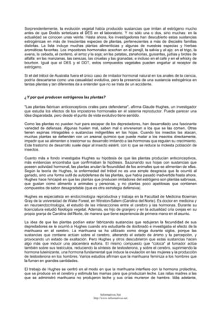 Sorprendentemente, la evolución vegetal había producido sustancias que imitan al estrógeno mucho
antes de que Dodds sintetizara el DES en el laboratorio. Y no sólo una o dos, sino muchas: en la
actualidad se conocen unas veinte. Hasta ahora, los investigadores han descubierto estas sustancias
estrogénicas en más de trescientas especies de plantas, pertenecientes a más de dieciséis familias
distintas. La lista incluye muchas plantas alimenticias y algunas de nuestras especias y hierbas
aromáticas favoritas. Los impostores hormonales acechan en el perejil, la salvia y el ajo; en el trigo, la
avena, la cebada, el centeno, el arroz y la soja; en las patatas, zanahorias, guisantes, judías y brotes de
alfalfa: en las manzanas, las cerezas, las ciruelas y las granadas; e incluso en el café y en el whisky de
bourbon. Igual que el DES y el DDT, estos compuestos vegetales pueden engañar al receptor de
estrógeno.
Si el del trébol de Australia fuera el único caso de imitador hormonal natural en los anales de la ciencia,
podría descartarse como una casualidad evolutiva, pero la presencia de una sustancia estrogénica en
tantas plantas y tan diferentes da a entender que no se trata de un accidente.
¿Y por qué producen estrógenos las plantas?
"Las plantas fabrican anticonceptivos orales para defenderse", afirma Claude Hughes, un investigador
que estudia los efectos de los impostores hormonales en el sistema reproductor. Puede parecer una
idea disparatada, pero desde el punto de vista evolutivo tiene sentido.
Como las plantas no pueden huir para escapar de los depredadores, han desarrollado una fascinante
variedad de defensas. Algunas huelen mal, saben mal o envenenan a los que se las comen. Otras
tienen espinas intragables o sustancias indigeribles en las hojas. Cuando los insectos las atacan,
muchas plantas se defienden con un arsenal químico que puede matar a los insectos directamente,
impedir que se alimenten o trastornar su desarrollo imitando a las hormonas que regulan su crecimiento.
Este trastorno de desarrollo suele dejar al insecto estéril, con lo que se reduce la molesta población de
insectos.
Cuanto más a fondo investigaba Hughes su hipótesis de que las plantas producían anticonceptivos,
más evidencias encontraba que confirmaban la hipótesis. Sazonando sus hojas con sustancias que
poseen actividad hormonal, las plantas anulan la fecundidad de los animales que se alimentan de ellas.
Según la teoría de Hughes, la enfermedad del trébol no es una simple desgracia que le ocurrió al
ganado, sino una forma sutil de autodefensa de las plantas, que había pasado inadvertida hasta ahora.
Hughes hace hincapié en que las plantas que producen imitadores del estrógeno son plantas sabrosas,
que gustan como alimento a animales y personas, y no plantas poco apetitosas que contienen
compuestos de sabor desagradable (que es otra estrategia defensiva).
Hughes es especialista en endocrinología reproductiva y trabaja en la Facultad de Medicina Bowman
Gray de la universidad de Wake Forest, en Winston-Salem (Carolina del Norte). Es doctor en medicina y
en neuroendocrinología, el estudio de las interacciones entre el cerebro y las hormonas. Durante su
licenciatura estudió fisiología vegetal. Además, es hijo de granjero y en la actualidad cría ovejas en su
propia granja de Carolina del Norte, de manera que tiene experiencia de primera mano en el asunto.
La idea de que las plantas podían estar fabricando sustancias que redujeran la fecundidad de sus
depredadores se le ocurrió a Hughes cuando era estudiante de doctorado e investigaba el efecto de la
marihuana en el cerebro. La marihuana se ha utilizado como droga durante siglos, porque las
sustancias que contiene actúan sobre el cerebro, alterando el estado de ánimo y la percepción, y
provocando un estado de exaltación. Pero Hughes y otros descubrieron que estas sustancias hacen
algo más que inducir una placentera euforia. El mismo compuesto que "coloca" al fumador actúa
también sobre sus testículos, reduciendo la síntesis de testosterona, y sobre el cerebro, suprimiendo la
hormona luteinizante, una hormona fundamental que induce la ovulación en las mujeres y la producción
de testosterona en los hombres. Varios estudios afirman que la marihuana feminiza a los hombres que
la fuman en grandes cantidades.
El trabajo de Hughes se centró en el modo en que la marihuana interfiere con la hormona prolactina,
que se produce en el cerebro y estimula las mamas para que produzcan leche. Las ratas madres a las
que se administró marihuana no produjeron leche y sus crías murieron de hambre. Más adelante,
Informativos.Net
http://www.informativos.net
 