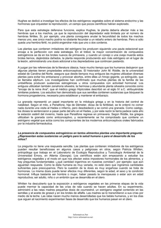 Hughes se dedicó a investigar los efectos de los estrógenos vegetales sobre el sistema endocrino y las
hormonas que orquestan la reproducción, un campo que pocos científicos habían explorado.
Para que esta estrategia defensiva funcione, explica Hughes, la planta debería afectar más a las
hembras que a los machos, ya que la reproducción del depredador está limitada por el número de
hembras fértiles. Si, por ejemplo, una planta consiguiera anular la fecundidad de todos los machos
menos uno, ese único macho podría no obstante fecundar a un rebaño entero de hembras. Pero si sólo
queda una hembra fértil, no podrá engendrar más que uno o dos corderos.
Las plantas que contienen imitadores del estrógeno los producen siguiendo una pauta estacional que
encaja a la perfección con esta estrategia. En el trébol, la mayor concentración de compuestos
estrogénicos se da en los brotes nuevos de primavera, y cuando un conejo o una oveja muerde estos
brotes tiernos, dejándolos dañados, la planta responde produciendo aún más estrógeno en el lugar de
la lesión, administrando una dosis adicional a los depredadores que continúan pastando.
A juzgar por las referencias de la literatura clásica, hace mucho tiempo que los humanos dedujeron que
algunas plantas tienen propiedades anticonceptivas. El historiador John M. Riddle, de la universidad
estatal de Carolina del Norte, asegura que desde tiempos muy antiguos las mujeres utilizaban diversas
plantas para evitar los embarazos y provocar abortos, entre ellas un hinojo gigante, ya extinguido, que
se llamaba silphium. Los investigadores han confirmado que muchas plantas de la familia de las
umbelíferas producen sustancias estrogénicas u otros compuestos con actividad hormonal. Los
antiguos utilizaban también zanahoria silvestre, la hermosa y abundante planta silvestre conocida como
"encaje de la reina Ana", que el médico griego Hipócrates describió en el siglo IV a.C. atribuyéndole
similares poderes. Los estudios han demostrado que sus semillas contienen sustancias que bloquean la
hormona progesterona, necesaria para establecer y mantener el embarazo.
La granada representó un papel importante en la mitología griega y en la historia del control de
natalidad. Según el mito, a Perséfone, hija de Démeter, diosa de la fertilidad, se le ordenó no comer
nada durante una visita al Hades o infierno, pero desobedeció y se comió una granada. Como castigo,
los dioses la sentenciaron a pasar parte del año en el Hades, y por esta razón la tierra padece cada año
la estación estéril del invierno, hasta que Perséfone regresa en primavera. Según Riddle, los griegos
utilizaban la granada como anticonceptivo, y recientemente se ha comprobado que contiene un
estrógeno vegetal que actúa como los componentes de los modernos anticonceptivos orales fabricados
por la industria farmacéutica.
La presencia de compuestos estrogénicos en tantos alimentos plantea una importante pregunta:
¿Representan estas sustancias un peligro para la salud humana o para el desarrollo de los
niños?
La pregunta no tiene una respuesta sencilla. Las plantas que contienen imitadores de los estrógenos
pueden resultar beneficiosas en algunos casos y peligrosas en otros, según Patricia Whitten,
antropóloga que trabaja en el Laboratorio de Ecología Reproductiva y Toxicología Ambiental de la
Universidad Emory, en Atlanta (Georgia). Los científicos están aún empezando a estudiar los
estrógenos vegetales y el modo en que nos afectan estos impostores hormonales de los alimentos, y
hay preguntas fundamentales -¿qué cantidad ingerimos en nuestras comidas?, por ejemplo- que aún
aguardan respuesta. Como la dieta humana es muy variada, no está claro que ingiramos cantidades
suficientes para preocuparnos. Pero la cuestión de la dosis es muy engañosa cuando se trata de
hormonas. La misma dosis puede tener efectos muy diferentes, según la edad, el sexo y la condición
hormonal. Influye bastante ser hombre o mujer, haber pasado la menopausia o estar aún en edad
reproductiva; ser adulto, niño o un embrión que se desarrolla en el útero.
Whitten ha descubierto que la exposición a estrógenos vegetales en las primeras etapas de la vida
puede mermar la capacidad de las crías de rata cuando se hacen adultas. En su experimento,
administró a las ratas madres pequeñas dosis de coumestrol, un estrógeno vegetal contenido en las
semillas y el aceite de girasol y en los brotes de alfalfa. Las madres se lo transmitieron a sus crías por
medio de la leche. Las ratas nacen mucho menos desarrolladas que los bebés humanos, y en los días
que siguen al nacimiento experimentan fases de desarrollo que los humanos pasan en el útero.
Informativos.Net
http://www.informativos.net
 