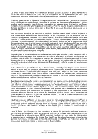 Las crías de este experimento no desarrollaron defectos genitales evidentes ni otras anormalidades
físicas del conducto reproductor, como las que se observan en los experimentos con DES, pero
presentaban indicios de haber sufrido cambios permanentes que saboteaban su fertilidad.
"Creemos haber alterado la diferenciación sexual del cerebro", declaró Whitten. Las hembras no ovulan
y son estériles porque su cerebro no responde a la hormona que desencadena la ovulación, y esto es
señal de que han quedado masculinizadas. Los machos, por su parte, están feminizados, manifiestan
menos tendencia a montar y tienen pocas eyaculaciones. Para una rata, los diez primeros días después
de nacer constituyen el periodo crítico para el desarrollo de las zonas del cerebro relacionadas con la
conducta sexual.
Pero los mismos alimentos que trastornan el desarrollo antes de nacer o en las primeras etapas de la
vida pueden evitar enfermedades en los adultos. Se ha comprobado que los alimentos con alto
contenido de estrógenos vegetales, como la soja, pueden proteger contra los cánceres de mama y de
próstata, lo cual ha provocado un gran interés científico y nuevas investigaciones sobre los estrógenos
vegetales. Numerosos estudios han relacionado los estrógenos -incluso los que el organismo produce
de manera natural- con el cáncer, dando a entender que cuanto mayor sea la exposición de una mujer
durante su vida, mayor riesgo correrá. Los investigadores teorizan que los estrógenos vegetales pueden
servir de protección porque son más débiles que los estrógenos naturales producidos por nuestro
cuerpo. Si ocupan los receptores de estrógeno de las mamas, desplazando al estradiol natural, pueden
reducir la exposición de la mujer al estrógeno.
Según Hughes, es importante tener en cuenta que las plantas y los animales que las comen -incluida la
especie humana- comparten una misma historia evolutiva. A lo largo de muchas generaciones, los
individuos más sensibles, los que quedaron estériles por haber comido alimentos estrogénicos, fueron
desapareciendo de la población. Todos los que fueron capaces de producir algo de descendencia
transmitieron a ésta un cierto grado de resistencia. Esta selección evolutiva se basa en las diferencias
individuales.
El descubrimiento de que el DDT era capaz de actuar como un estrógeno pudo parecer una curiosidad
aislada en 1950, pero, por desgracia, dista mucho de ser un caso único. Durante el último medio siglo,
los mismos laboratorios químicos que produjeron este "milagroso" plaguicida han creado multitud de
nuevos productos químicos sintéticos que también pueden interferir con las hormonas. Hemos tardado
mucho en darnos cuenta de este peligro y percatarnos de que el mundo ha quedado impregnado de
sustancias sintéticas que trastornan la acción hormonal.
Cuando se comprobó que los hombres que trabajaban en una factoría química dedicada a la producción
del plaguicida kepona tenían cantidades anormalmente bajas de espermatozoides, quedó claro que el
DDT no era la única sustancia sintética capaz de provocar efectos similares a los del estrógeno. Pronto
se añadieron otros nombres a la lista. Igual que el DDT, estas sustancias sintéticas no se diseñaron
como medicamentos ni como sustitutos hormonales. Los químicos de los laboratorios las inventaron
para matar insectos que perjudicaban las cosechas y para proporcionar a los fabricantes nuevos
materiales plásticos. Pero sin darse cuenta, los ingenieros químicos habían creado sustancias que
ponen en peligro la fertilidad y la salud de los bebés nonatos. Y lo peor es que las hemos esparcido a
diestro y siniestro por la faz de la Tierra.
¿Cuántas sustancias artificiales son capaces de alterar los mensajes químicos del organismo? Nadie lo
sabe, y aún no se han examinado sistemáticamente los posibles efectos de las decenas de miles de
compuestos químicos sintéticos creados desde la Segunda Guerra Mundial. Como ocurrió con el
kepona, que ahora está prohibido, muchos de los efectos que se conocen se descubrieron por
accidente.
Hasta la fecha, los investigadores han identificado al menos 51 compuestos químicos sintéticos -
muchos de ellos ubicuos en el medio ambiente- que trastornan de un modo u otro el sistema endocrino.
Algunos suplantan al estrógeno, como el DES, pero otros interfieren con otras partes del sistema, como
la testosterona o el metabolismo del tiroides. Este batallón de disruptores hormonales incluye familias
químicas numerosas, como los 209 compuestos clasificados como PCBs, las 75 dioxinas y los 135
furanos, que ejercen una miríada de efectos nocivos documentados.
Informativos.Net
http://www.informativos.net
 
