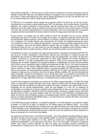 Seis semanas después, un diminuto pico se abrió camino a través de uno de los cascarones, pero el
polluelo no pudo dar más que unos débiles picotazos y enseguida murió, al parecer de agotamiento. El
otro huevo no daba señal alguna de vida, pero la pareja permaneció en el nido una semana más. Por
fin, la madre abandonó el nido sin haber tenido descendencia.
El PCB-153 y sus parientes habían pasado de la gaviota madre a la yema de uno de los huevos,
contribuyendo a su muerte en igual medida que el DDT, las dioxinas y otros contaminantes. Pocos días
después, una mofeta se llevaba el huevo podrido, pero se lo pensó mejor antes de comérselo y lo
abandonó cerca de la orilla, donde se estrelló contra una roca. Parte de la yema cayó al agua, y el PCB-
153 inició otro recorrido ascendente por la cadena alimentaria, esta vez comenzando por un pequeño
cangrejo carroñero que absorbió los restos de yema caídos en el agua poco profunda de la playa.
Al poco tiempo, el cangrejo que se había comido la yema fue devorado por una de las anguilas
americanas que cazan de noche entre las algas de los bajíos. La anguila es bastante original a la hora
de reproducirse. Muchas especies, como el salmón y el arenque, pasan la mayor parte de su vida en el
mar y regresan al río donde nacieron para reproducirse. En cambio, las anguilas americanas suelen
vivir casi toda su vida en ríos y lagos de agua dulce, y entonces inician una larga peregrinación al mar
de los Sargazos -una zona del océano Atlántico situada entre las Antillas y las Azores-, donde se
reproducen antes de morir. Lo más curioso es que las anguilas procedentes de los Grandes Lagos y
otras aguas del norte son todas hembras, mientras que los machos suelen venir de ríos del sur.
Al acercarse el verano, las anguilas más viejas del lago Ontario -incluyendo la portadora del PCB-153,
que tenía ya 16 años- empezaron a experimentar cambios que anunciaban su madurez sexual y las
preparaban para el viaje de 5.500 kilómetros hasta su lugar de apareamiento. Los lomos, de color gris-
verdoso, comenzaron a oscurecerse, adquiriendo un color negro plateado; los vientres amarillos se
volvieron blancos, y los ojos se agrandaron para facilitar la visión en las oscuras aguas del océano.
Excitadas por el impulso migratorio, las anguilas empezaron a desplazarse en grupos hacia la entrada
del río San Lorenzo, aguardando alguna señal para emprender el viaje. Por fin, una noche tormentosa,
cuando la lluvia caía en densas masas plateadas desde un cielo negro, una serpenteante multitud se
puso en marcha río abajo, hacia el Atlántico Norte. La anguila portadora del PCB-153 estuvo nadando
más de seis meses, con desconcertante ansiedad, hasta que por fin llegó a los flotantes acúmulos de
sargazos, el alga que da su nombre a esta zona de aguas cálidas y saladas. Allí, bajo las transparentes
aguas tropicales, al este de las Bahamas y al sur de las Bermudas, una ondulante concentración de
anguilas llegadas de todas partes, desde la costa del Golfo hasta Groenlandia, se reprodujo y murió de
agotamiento. Su largo viaje había concluido, su ineludible misión se había cumplido.
La carne de la anguila se desintegró con rapidez en las cálidas aguas tropicales, y el PCB-153 quedó
unido a un fragmento de grasa que flotó hacia arriba, hasta la superficie del mar de los Sargazos. Con
el intenso calor del sol tropical, la molécula se evaporó de nuevo y empezó a dar saltos hacia el norte,
arrastrada por los vientos predominantes. Cada vez que llegaba a un sitio frío, la molécula se
condensaba y se posaba en cualquier superficie, para reemprender el viaje una vez más en cuanto el
sol calentaba la superficie. Alternando entre los estados líquido y gaseoso, cabalgó a lomos del viento
siempre hacia el norte. Las aguas estaban cada vez más frías, lo cual dificultaba el desplazamiento
aéreo, de manera que la molécula se pegó a una pequeña planta flotante, que ocupaba la posición más
baja en la cadena alimentaria del Atlántico Norte, y con ella entró en la corriente del Golfo, que la llevó
con rumbo nordeste hacia Islandia.
A 370 kilómetros al este de Islandia, un pequeño copépodo -un animal parecido a una gamba- engulló
la planta y el PCB-153 al filtrar su alimento en las fértiles aguas del Atlántico Norte. Cinco días
después, un banco de copépodos fue arrastrado por una rápida corriente que lo llevó hacia el nordeste
a toda velocidad, como una gigantesca correa de transmisión que terminaba en el borde de los hielos
del mar de Groenlandia, donde se había reunido un enorme banco de bacalaos del Ártico, dispuestos a
darse un banquete con el suministro que llegaba.
Las aguas gris-verdosas eran un hervidero de bacalaos, una de las especies más abundantes en aguas
del Ártico. Cuando uno de los peces más pequeños digirió su comilona de copépodos, el PCB-153 se
instaló en el tejido graso próximo a la cola, donde ya existía una considerable acumulación de
sustancias persistentes. La red alimentaria del Ártico, de la que forma parte el bacalao, es bastante
simple, pero incluye muchas especies de vida muy larga, que acumulan grandes cantidades de
contaminación a lo largo de su vida. Por esta razón, la red alimentaria del Ártico concentra y magnifica
Informativos.Net
http://www.informativos.net
 