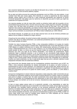 iban creciendo rápidamente. Cuando una de ellas tiró del pezón de su madre, la molécula penetró en su
boca junto con un chorro de leche caliente y espesa.
No se sabe qué daños provocan las sustancias persistentes como los PCBs a los osos polares, ni qué
cantidad hace falta para causar daños. Pero teniendo en cuenta la experiencia de otras especies
salvajes, parece seguro que el PCB-153 y otras sustancias persistentes que trastornan la acción
hormonal representan más peligro para los cachorros en desarrollo que para la madre que ingirió las
sustancias con la grasa de la foca.
Las oseznas pesaban ya más de nueve kilos cuando su primeriza madre salió de la guarida a la luz
acaramelada de la primavera ártica. Durante más de dos años y medio seguirían mamando, hasta llegar
a pesar unos 180 kilos cada una gracias a la rica dieta de leche de osa polar. Con cada comida,
ingerirían más sustancias persistentes, que habían recorrido miles de kilómetros para llegar al Ártico. Al
ascender por la cadena alimentaria ártica hasta llegar al oso polar, que es el depredador supremo y el
mayor carnívoro terrestre, la concentración de PCBs se había multiplicado por 3.000 millones.
Una década después, es posible que una de estas oseznas fuera una de las hembras preñadas que
salieron de sus cubiles en Svalbard sin ningún cachorro.
Al igual que los osos polares, los seres humanos están expuestos a los peligros derivados de ocupar la
posición más alta en la cadena alimentaria. Las sustancias persistentes que han invadido el mundo del
oso invaden también el nuestro.
También los seres humanos llevamos PCBs y otros compuestos sintéticos en la grasa de nuestro
cuerpo, y transmitimos este legado a nuestros hijos. Prácticamente todo el que esté dispuesto a invertir
2.000 dólares en análisis encontrará por lo menos 250 contaminantes químicos en la grasa de su
cuerpo, independientemente de si vive en Gary (Indiana) o en una remota isla del Pacífico Sur. No se
puede escapar de ellos. Lo irónico es que los mayores niveles de contaminación se dan en algunas
personas que viven muy lejos de los centros industriales y las fuentes de contaminación. Estas
sustancias viajan a distancias enormes, y por el camino se van acumulando hasta alcanzar altas
concentraciones, sobre todo en el Ártico, que se está convirtiendo en uno de sus destinos finales. Estas
sustancias sintéticas se introducen en todas partes, pudiendo incluso atravesar la barrera de la placenta
y llegar al útero, donde pueden afectar al embrión durante las fases más vulnerables de su desarrollo.
Cuando una madre amamanta a su hijo, le está dando algo más que amor y alimento: además, le está
traspasando elevadas dosis de sustancias sintéticas.
Han transcurrido tres décadas desde que los investigadores sanitarios descubrieron que el DDT, los
PCBs y otros productos persistentes se estaban acumulando en la grasa y la leche humanas, y
prácticamente en todo el medio ambiente. Las mediciones han sido la parte fácil; desde entonces, los
preocupados científicos se han esforzado por comprender su significado. Si todos llevamos una sopa de
letras de compuestos químicos en la grasa de nuestro cuerpo, ¿cómo nos afecta? ¿Y cómo afecta a
nuestros hijos?
Aunque los investigadores no tienen todas las respuestas a estas preguntas, están convencidos de que
la cantidad de compuestos sintéticos que los seres humanos llevamos en nuestro cuerpo es suficiente
para poner en peligro a nuestros hijos. Sin saber exactamente cómo actúan todos estos compuestos,
juntos o por separado, los investigadores los han relacionado no sólo con los fallos de reproducción de
la fauna salvaje, sino también con la de los humanos. Estudiaremos estas relaciones en los capítulos
siguientes.
Si bien el mayor peligro parece estar en la exposición prenatal, a los especialistas en salud les
preocupan también las sustancias que se transmiten con la leche de la madre, porque algunos procesos
de desarrollo muy sensibles todavía continúan en las semanas posteriores al parto. Durante la
lactancia, los bebés reciben dosis de estas sustancias mucho más altas que en cualquier otro momento
de su vida posterior. En sólo seis meses de lactancia, un bebé norteamericano o europeo recibe la
dosis máxima aceptada de dioxinas, que recorren la red alimentaria lo mismo que los PCBs y el DDT. El
mismo bebé recibe cinco veces la cantidad diaria máxima de PCBs aceptada por los criterios
internacionales de salud para un adulto de 70 kilos.
Informativos.Net
http://www.informativos.net
 