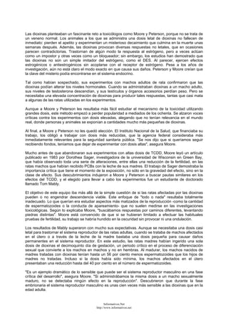 Las dioxinas planteaban un fascinante reto a toxicólogos como Moore y Peterson, porque no se trata de
un veneno normal. Los animales a los que se administra una dosis letal de dioxinas no fallecen de
inmediato: pierden el apetito y experimentan un misterioso decaimiento que culmina en la muerte unas
semanas después. Además, las dioxinas provocan diversas respuestas no letales, que en ocasiones
parecen contradictorias. Trastornan de algún modo la respuesta al estrógeno, pero a veces actúan
como un impostor y otras veces como un bloqueador; sin embargo, los estudios han demostrado que
las dioxinas no son un simple imitador del estrógeno, como el DES. Al parecer, ejercen efectos
estrogénicos o antiestrogénicos sin acoplarse con el receptor de estrógeno. Pese a los años de
investigación, aún no está claro el modo exacto en que causa sus daños. Peterson y Moore creían que
la clave del misterio podía encontrarse en el sistema endocrino.
Tal como habían sospechado, sus experimentos con machos adultos de rata confirmaron que las
dioxinas podían alterar los niveles hormonales. Cuando se administraban dioxinas a un macho adulto,
sus niveles de testosterona descendían, y sus testículos y órganos accesorios perdían peso. Pero se
necesitaba una elevada concentración de dioxinas para producir tales respuestas, tantas que casi mata
a algunas de las ratas utilizadas en los experimentos.
Aunque a Moore y Peterson les resultaba más fácil estudiar el mecanismo de la toxicidad utilizando
grandes dosis, este método empezó a perder popularidad a mediados de los ochenta. Se alzaron voces
críticas contra los experimentos con dosis elevadas, alegando que no tenían relevancia en el mundo
real, donde personas y animales se exponían a cantidades mucho más pequeñas de dioxinas.
Al final, a Moore y Peterson no les quedó elección. El Instituto Nacional de la Salud, que financiaba su
trabajo, los obligó a trabajar con dosis más reducidas, que la agencia federal consideraba más
inmediatamente relevantes para la seguridad sanitaria pública. "Se nos dijo que si queríamos seguir
recibiendo fondos, teníamos que dejar de experimentar con dosis altas", asegura Moore.
Mucho antes de que abandonaran sus experimentos con altas dosis de TCDD, Moore leyó un artículo
publicado en 1983 por Dorothea Sager, investigadora de la universidad de Wisconsin en Green Bay,
que había observado toda una serie de alteraciones, entre ellas una reducción de la fertilidad, en las
ratas machos que habían recibido PCBs con la leche de sus madres. El trabajo de Sager demostraba la
importancia crítica que tiene el momento de la exposición, no sólo en la gravedad del efecto, sino en la
clase de efecto. Sus descubrimientos indujeron a Moore y Peterson a buscar pautas similares en los
efectos del TCDD, y el elegido para llevar a cabo los experimentos fue un estudiante de doctorado
llamado Tom Mably.
El objetivo de este equipo iba más allá de la simple cuestión de si las ratas afectadas por las dioxinas
pueden o no engendrar descendencia viable. Este enfoque de "todo o nada" resultaba totalmente
inadecuado. Lo que querían era estudiar aspectos más matizados de la reproducción -como la cantidad
de espermatozoides o la conducta de apareamiento- que no suelen medirse en las investigaciones
toxicológicas. Según lo explicaba Moore, "buscábamos respuestas por caminos diferentes, levantando
piedras distintas". Moore está convencido de que si se hubieran limitado a efectuar las habituales
pruebas de fertilidad, su trabajo se habría hundido en la oscuridad sin provocar ni una ondulación.
Los resultados de Mably superaron con mucho sus expectativas. Aunque se necesitaba una dosis casi
letal para trastornar el sistema reproductor de las ratas adultas, cuando se trataba de machos afectados
en el útero o a través de la leche de la madre bastaba una dosis pequeña para causar daños
permanentes en el sistema reproductor. En este estudio, las ratas madres habían ingerido una sola
dosis de dioxinas el decimoquinto día de gestación, un periodo crítico en el proceso de diferenciación
sexual que convierte a los machos en machos y no en hembras. Al madurar, los machos nacidos de
madres tratadas con dioxinas tenían hasta un 56 por ciento menos espermatozoides que los hijos de
madres no tratadas. Incluso si la dosis había sido mínima, los machos afectados en el útero
presentaban una reducción hasta del 40 por ciento en el número de espermatozoides.
"Es un ejemplo dramático de lo sensible que puede ser el sistema reproductor masculino en una fase
crítica del desarrollo", asegura Moore. "Si administrábamos la misma dosis a un macho sexualmente
maduro, no se detectaba ningún efecto en la reproducción". Descubrieron que durante la fase
embrionaria el sistema reproductor masculino es unas cien veces más sensible a las dioxinas que en la
edad adulta.
Informativos.Net
http://www.informativos.net
 