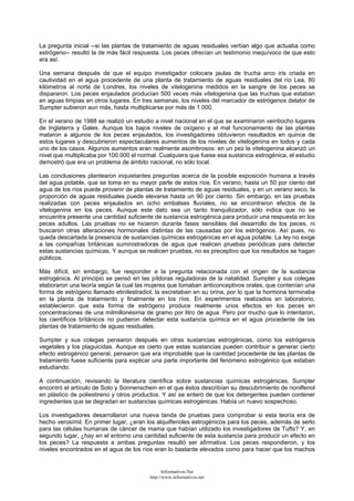 La pregunta inicial --si las plantas de tratamiento de aguas residuales vertían algo que actuaba como
estrógeno-- resultó la de más fácil respuesta. Los peces ofrecían un testimonio inequívoco de que esto
era así.
Una semana después de que el equipo investigador colocara jaulas de trucha arco iris criada en
cautividad en el agua procedente de una planta de tratamiento de aguas residuales del río Lea, 80
kilómetros al norte de Londres, los niveles de vitelogenina medidos en la sangre de los peces se
dispararon. Los peces enjaulados producían 500 veces más vitelogenina que las truchas que estaban
en aguas limpias en otros lugares. En tres semanas, los niveles del marcador de estrógenos delator de
Sumpter subieron aun más, hasta multiplicarse por más de 1.000.
En el verano de 1988 se realizó un estudio a nivel nacional en el que se examinaron veintiocho lugares
de Inglaterra y Gales. Aunque los bajos niveles de oxígeno y el mal funcionamiento de las plantas
mataron a algunos de los peces enjaulados, los investigadores obtuvieron resultados en quince de
estos lugares y descubrieron espectaculares aumentos de los niveles de vitelogenina en todos y cada
uno de los casos. Algunos aumentos eran realmente asombrosos: en un pez la vitelogenina alcanzó un
nivel que multiplicaba por 100.000 el normal. Cualquiera que fuese esa sustancia estrogénica, el estudio
demostró que era un problema de ámbito nacional, no sólo local.
Las conclusiones plantearon inquietantes preguntas acerca de la posible exposición humana a través
del agua potable, que se toma en su mayor parte de estos ríos. En verano, hasta un 50 por ciento del
agua de los ríos puede provenir de plantas de tratamiento de aguas residuales, y en un verano seco, la
proporción de aguas residuales puede elevarse hasta un 90 por ciento. Sin embargo, en las pruebas
realizadas con peces enjaulados en ocho embalses fluviales, no se encontraron efectos de la
vitelogenina en los peces. Aunque este dato sea un tanto tranquilizador, sólo indica que no se
encuentra presente una cantidad suficiente de sustancia estrogénica para producir una respuesta en los
peces adultos. Las pruebas no se hicieron durante fases sensibles del desarrollo de los peces, ni
buscaron otras alteraciones hormonales distintas de las causadas por los estrógenos. Así pues, no
queda descartada la presencia de sustancias químicas estrogénicas en el agua potable. La ley no exige
a las compañías británicas suministradoras de agua que realicen pruebas periódicas para detectar
estas sustancias químicas. Y aunque se realicen pruebas, no es preceptivo que los resultados se hagan
públicos.
Más difícil, sin embargo, fue responder a la pregunta relacionada con el origen de la sustancia
estrogénica. Al principio se pensó en las píldoras reguladoras de la natalidad. Sumpter y sus colegas
elaboraron una teoría según la cual las mujeres que tomaban anticonceptivos orales, que contenían una
forma de estrógeno llamado etinilestradiol, la excretaban en su orina, por lo que la hormona terminaba
en la planta de tratamiento y finalmente en los ríos. En experimentos realizados en laboratorio,
establecieron que esta forma de estrógeno produce realmente unos efectos en los peces en
concentraciones de una milmillonésima de gramo por litro de agua. Pero por mucho que lo intentaron,
los científicos británicos no pudieron detectar esta sustancia química en el agua procedente de las
plantas de tratamiento de aguas residuales.
Sumpter y sus colegas pensaron después en otras sustancias estrogénicas, como los estrógenos
vegetales y los plaguicidas. Aunque es cierto que estas sustancias pueden contribuir a generar cierto
efecto estrogénico general, pensaron que era improbable que la cantidad procedente de las plantas de
tratamiento fuese suficiente para explicar una parte importante del fenómeno estrogénico que estaban
estudiando.
A continuación, revisando la literatura científica sobre sustancias químicas estrogénicas, Sumpter
encontró el artículo de Soto y Sonnenschein en el que éstos describían su descubrimiento de nonilfenol
en plástico de poliestireno y otros productos. Y así se enteró de que los detergentes pueden contener
ingredientes que se degradan en sustancias químicas estrogénicas. Había un nuevo sospechoso.
Los investigadores desarrollaron una nueva tanda de pruebas para comprobar si esta teoría era de
hecho verosímil. En primer lugar, ¿eran los alquilfenoles estrogénicos para los peces, además de serlo
para las células humanas de cáncer de mama que habían utilizado los investigadores de Tufts? Y, en
segundo lugar, ¿hay en el entorno una cantidad suficiente de esta sustancia para producir un efecto en
los peces? La respuesta a ambas preguntas resultó ser afirmativa. Los peces respondieron, y los
niveles encontrados en el agua de los ríos eran lo bastante elevados como para hacer que los machos
Informativos.Net
http://www.informativos.net
 