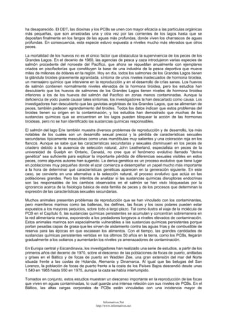 ha desaparecido. El DDT, las dioxinas y los PCBs se unen con mayor eficacia a las partículas orgánicas
más pequeñas, que son arrastradas una y otra vez por las corrientes de los lagos hasta que se
depositan finalmente en los fangos de las aguas más profundas, donde viven los charrascos de aguas
profundas. En consecuencia, esta especie estuvo expuesta a niveles mucho más elevados que otros
peces.
La mortalidad de los huevos no es el único factor que obstaculiza la supervivencia de los peces de los
Grandes Lagos. En el decenio de 1960, las agencias de pesca y caza introdujeron varias especies de
salmón procedente del noroeste del Pacífico, que ahora se repueblan anualmente con ejemplares
criados en piscifactorías que constituyen la base de una industria de la pesca deportiva que mueve
miles de millones de dólares en la región. Hoy en día, todos los salmones de los Grandes Lagos tienen
la glándula tiroides gravemente agrandada, síntoma de unos niveles inadecuados de hormona tiroidea,
un mensajero químico que interviene en la reproducción y en el desarrollo de crías sanas. Los huevos
de salmón contienen normalmente niveles elevados de la hormona tiroidea, pero los estudios han
descubierto que los huevos de salmones de los Grandes Lagos tienen niveles de hormona tiroidea
inferiores a los de los huevos del salmón del Pacífico en zonas menos contaminadas. Aunque la
deficiencia de yodo puede causar tales síntomas, los investigadores la han descartado como causa. Los
investigadores han descubierto que las gaviotas argénteas de los Grandes Lagos, que se alimentan de
peces, también padecen agrandamiento del tiroides. Todos los datos indican que estos problemas del
tiroides tienen su origen en la contaminación, y los estudios han demostrado que muchas de las
sustancias químicas que se encuentran en los lagos pueden bloquear la acción de las hormonas
tiroideas, pero no se han identificado las sustancias químicas responsables.
El salmón del lago Erie también muestra diversos problemas de reproducción y de desarrollo, los más
notables de los cuales son un desarrollo sexual precoz y la pérdida de características sexuales
secundarias típicamente masculinas como unas mandíbulas muy salientes y una coloración roja en los
flancos. Aunque se sabe que las características secundarias y sexuales disminuyen en los peces de
criadero debido a la ausencia de selección natural, John Leatherland, especialista en peces de la
universidad de Guelph en Ontario, Canadá, no cree que el fenómeno evolutivo llamado "deriva
genética" sea suficiente para explicar la importante pérdida de diferencias sexuales visibles en estos
peces, como algunos autores han sugerido. La deriva genética es un proceso evolutivo que tiene lugar
en poblaciones muy pequeñas donde el azar comienza a desempeñar un papel mucho más importante
a la hora de determinar qué características genéticas aparecen en la generación siguiente. En este
caso, se convierte en una alternativa a la selección natural, el proceso evolutivo que actúa en las
poblaciones grandes. Pero los intentos de analizar si las sustancias químicas disruptoras endocrinas
son las responsables de los cambios observados en el salmón se han visto bloqueadas por la
ignorancia acerca de la fisiología básica de esta familia de peces y de los procesos que determinan la
expresión de las características sexuales secundarias.
Muchos animales presentan problemas de reproducción que se han vinculado con los contaminantes,
pero mamíferos marinos como las ballenas, los delfines, las focas y los osos polares pueden estar
expuestos a los mayores perjuicios, sobre todo a largo plazo. Tal como ilustra el viaje de la molécula de
PCB en el Capítulo 6, las sustancias químicas persistentes se acumulan y concentran sobremanera en
la red alimentaria marina, exponiendo a los predadores longevos a niveles elevados de contaminación.
Estos animales marinos son especialmente vulnerables a las sustancias químicas persistentes porque
portan pesadas capas de grasa que les sirven de aislamiento contra las aguas frías y de combustible de
reserva para las épocas en que escasean los alimentos. Con el tiempo, las grandes cantidades de
sustancias químicas persistentes vertidas en los últimos 50 años en la tierra, como los PCBs, llegarán
gradualmente a los océanos y aumentarán los niveles ya amenazadores de contaminación.
En Europa central y Escandinavia, los investigadores han realizado una serie de estudios, a partir de los
primeros años del decenio de 1970, sobre el descenso de las poblaciones de focas de puerto, anilladas
y grises en el Báltico y de focas de puerto en Wadden Zee, una gran extensión del mar del Norte
situada frente a las costas de Holanda, Alemania y Dinamarca. Al igual que las belugas del San
Lorenzo, la población de focas de puerto frente a la costa de los Países Bajos descendió desde unas
1.540 en 1965 hasta 550 en 1975, aunque la caza se había interrumpido.
Tomados en conjunto, estos estudios muestran un descenso importante en la reproducción de las focas
que viven en aguas contaminadas, lo cual guarda una intensa relación con sus niveles de PCBs. En el
Báltico, las altas cargas corporales de PCBs están vinculadas con una incidencia mayor de
Informativos.Net
http://www.informativos.net
 