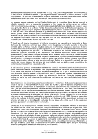 defensa contra infecciones víricas, estaba entre un 20 y un 50 por ciento por debajo del nivel normal, y
la respuesta de las células auxiliares T, que dirigen la defensa inmunitaria, se reducía entre un 25 y un
60 por ciento. Los linfocitos T desempeñan un papel decisivo en el rechazo de las infecciones víricas,
especialmente en el caso de los virus semejantes a los destemperados (moquillo).
Un segundo estudio realizado en los Estados Unidos por el inmunólogo Garet Lahvis examinó la
relación existente entre la respuesta inmunitaria y los niveles de contaminantes en delfines
relativamente sanos cuya sangre se había tomado después de haber sido rodeados por redes en aguas
poco profundas frente a la costa de Florida. Mediante aquilatamientos de linfocitos semejantes a los
utilizados para detectar signos tempranos de deficiencias inmunitarias en seres humanos infectados por
el virus del sida, Lahvis encontró pruebas de que la respuesta inmunitaria en los delfines descendía a
medida que los niveles de PCBs y DDT aumentaban en su sangre. Estos resultados ofrecen pruebas
añadidas de que ya era probable que los animales sumamente contaminados padecieran debilidad en
los sistemas inmunitarios antes de ser atacados por los virus semejantes a los destemperados
(moquillo) que intervienen en algunas epidemias marinas.
Al igual que el sistema reproductor, el sistema inmunitario es especialmente vulnerable a daños
derivados de sustancias químicas que actúan como disruptores hormonales durante el desarrollo
prenatal. Como ya hemos visto, los estudios realizados en animales y las pruebas obtenidas de seres
humanos expuestos a DES indican que tal exposición puede alterar el desarrollo del sistema inmunitario
y tener una repercusión de por vida. Las crecientes pruebas de los vínculos existentes entre las
sustancias químicas sintéticas y las deficiencias del sistema inmunitario tienen implicaciones
especialmente graves para los mamíferos marinos. Estas especies son portadoras de niveles elevados
de contaminación, por lo cual es probable que sus crías vengan al mundo con sus sistemas inmunitarios
ya deficientes. La posterior exposición crónica a sustancias químicas tóxicas, durante una vida en
aguas contaminadas, sólo es la gota que colma el vaso. Debido a su exposición prenatal, las crías
pueden ser menos capaces de rechazar las enfermedades que sus padres, cuya exposición a las
sustancias químicas se limitó a su edad adulta.
Si las sustancias químicas sintéticas han debilitado los sistemas inmunitarios de los mamíferos marinos
y han contribuido al brote de epidemias, cabe preguntarse por qué los brotes no ocurrieron antes. La
razón puede estar en parte en que éstas son especies longevas, por lo que la aparición de esta doble
mala suerte de segunda generación requeriría más tiempo. Hay también un lapso de demora entre la
emisión de los contaminantes en la tierra y su acumulación en el mar. Estos dos factores pueden
explicar en parte por qué estas grandes epidemias marinas no se han manifestado hasta fechas
recientes.
Sabemos menos aún sobre la causa de los espectaculares y misteriosos declives de las poblaciones de
ranas de los que se ha informado en muchas partes del mundo. La pérdida de ranas en zonas urbanas
de los Estados Unidos donde la urbanización ha devorado los humedales no parece ningún misterio,
pero ¿por qué están desapareciendo las ranas en bosques intactos de Costa Rica y en zonas remotas
de Australia? Uno de los más eminentes expertos en anfibios del mundo, Robert Stebbins, cree que los
disruptores hormonales químicos son los probables sospechosos de aquellos declives que no obedecen
a causas evidentes como la alteración del hábitat o la sequía. En una intervención en una reunión
internacional de herpetólogos celebrada en Australia en diciembre de 1993, Stebbins, catedrático
emérito de zoología de la Universidad de California en Berkeley, instó a sus colegas a otorgar una
prioridad elevada en su investigación en busca de una causa al posible papel de las sustancias
químicas que actúan como disruptores hormonales.
En el curso de sus investigaciones sobre los anfibios, Stebbins ha estudiado los informes de declives de
las poblaciones de ranas y ha encontrado una pauta sincrónica en muchos que sugiere una causa
generalizada como los contaminantes transportados por el viento. De acuerdo con su estudio, parece
ser que muchas poblaciones declinaron rápidamente o desaparecieron por completo entre mediados del
decenio de 1970 y los primeros años del de 1980. Las poblaciones que vivían en altitudes elevadas se
vieron especialmente afectadas, lo cual ha inducido a algunos autores a señalar que la disminución de
la capa de ozono podría haber desempeñado un papel al exponerlas a niveles crecientes de la nociva
radiación ultravioleta-B. Aunque el agotamiento del ozono podría explicar la situación de algunas
poblaciones de ranas, Stebbins no ha encontrado esta teoría adecuada para explicar pérdidas como la
del sapo dorado de Costa Rica, una especie que vive en las profundidades de los bosques tropicales y
está bien protegida de la radiación ultravioleta-B por los árboles.
Informativos.Net
http://www.informativos.net
 