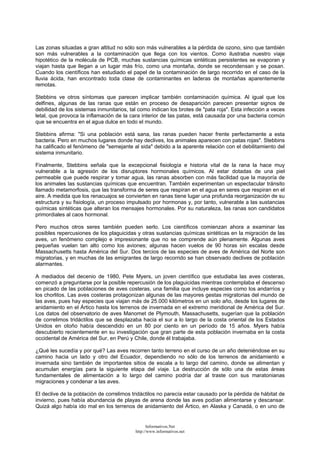 Las zonas situadas a gran altitud no sólo son más vulnerables a la pérdida de ozono, sino que también
son más vulnerables a la contaminación que llega con los vientos. Como ilustraba nuestro viaje
hipotético de la molécula de PCB, muchas sustancias químicas sintéticas persistentes se evaporan y
viajan hasta que llegan a un lugar más frío, como una montaña, donde se recondensan y se posan.
Cuando los científicos han estudiado el papel de la contaminación de largo recorrido en el caso de la
lluvia ácida, han encontrado toda clase de contaminantes en laderas de montañas aparentemente
remotas.
Stebbins ve otros síntomas que parecen implicar también contaminación química. Al igual que los
delfines, algunas de las ranas que están en proceso de desaparición parecen presentar signos de
debilidad de los sistemas inmunitarios, tal como indican los brotes de "pata roja". Esta infección a veces
letal, que provoca la inflamación de la cara interior de las patas, está causada por una bacteria común
que se encuentra en el agua dulce en todo el mundo.
Stebbins afirma: "Si una población está sana, las ranas pueden hacer frente perfectamente a esta
bacteria. Pero en muchos lugares donde hay declives, los animales aparecen con patas rojas". Stebbins
ha calificado el fenómeno de "semejante al sida" debido a la aparente relación con el debilitamiento del
sistema inmunitario.
Finalmente, Stebbins señala que la excepcional fisiología e historia vital de la rana la hace muy
vulnerable a la agresión de los disruptores hormonales químicos. Al estar dotadas de una piel
permeable que puede respirar y tomar agua, las ranas absorben con más facilidad que la mayoría de
los animales las sustancias químicas que encuentran. También experimentan un espectacular tránsito
llamado metamorfosis, que las transforma de seres que respiran en el agua en seres que respiran en el
aire. A medida que los renacuajos se convierten en ranas tiene lugar una profunda reorganización de su
estructura y su fisiología, un proceso impulsado por hormonas y, por tanto, vulnerable a las sustancias
químicas sintéticas que alteran los mensajes hormonales. Por su naturaleza, las ranas son candidatos
primordiales al caos hormonal.
Pero muchos otros seres también pueden serlo. Los científicos comienzan ahora a examinar las
posibles repercusiones de los plaguicidas y otras sustancias químicas sintéticas en la migración de las
aves, un fenómeno complejo e impresionante que no se comprende aún plenamente. Algunas aves
pequeñas vuelan tan alto como los aviones; algunas hacen vuelos de 90 horas sin escalas desde
Massachusetts hasta América del Sur. Dos tercios de las especies de aves de América del Norte son
migratorias, y en muchas de las emigrantes de largo recorrido se han observado declives de población
alarmantes.
A mediados del decenio de 1980, Pete Myers, un joven científico que estudiaba las aves costeras,
comenzó a preguntarse por la posible repercusión de los plaguicidas mientras contemplaba el descenso
en picado de las poblaciones de aves costeras, una familia que incluye especies como los andarríos y
los chorlitos. Las aves costeras protagonizan algunas de las mayores gestas migratorias del mundo de
las aves, pues hay especies que viajan más de 25.000 kilómetros en un solo año, desde los lugares de
anidamiento en el Ártico hasta los terrenos de invernada en el extremo meridional de América del Sur.
Los datos del observatorio de aves Manomet de Plymouth, Massachusetts, sugerían que la población
de correlimos tridáctilos que se desplazaba hacia el sur a lo largo de la costa oriental de los Estados
Unidos en otoño había descendido en un 80 por ciento en un período de 15 años. Myers había
descubierto recientemente en su investigación que gran parte de esta población invernaba en la costa
occidental de América del Sur, en Perú y Chile, donde él trabajaba.
¿Qué les sucedía y por qué? Las aves recorren tanto terreno en el curso de un año deteniéndose en su
camino hacia un lado y otro del Ecuador, dependiendo no sólo de los terrenos de anidamiento e
invernada sino también de importantes sitios de escala a lo largo del camino, donde se alimentan y
acumulan energías para la siguiente etapa del viaje. La destrucción de sólo una de estas áreas
fundamentales de alimentación a lo largo del camino podría dar al traste con sus maratonianas
migraciones y condenar a las aves.
El declive de la población de correlimos tridáctilos no parecía estar causado por la pérdida de hábitat de
invierno, pues había abundancia de playas de arena donde las aves podían alimentarse y descansar.
Quizá algo había ido mal en los terrenos de anidamiento del Ártico, en Alaska y Canadá, o en uno de
Informativos.Net
http://www.informativos.net
 