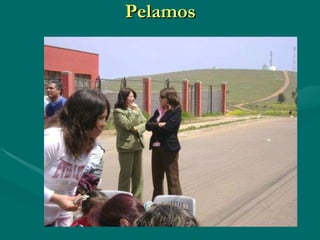 Pelamos 