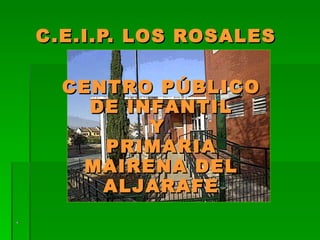 C.E.I.P. LOS ROSALES  CENTRO PÚBLICO DE INFANTIL Y  PRIMARIA MAIRENA DEL ALJARAFE 