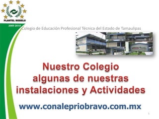 Colegio de Educación Profesional Técnica del Estado de Tamaulipas 1 Nuestro Colegio algunas de nuestras instalaciones y Actividades  www.conalepriobravo.com.mx 