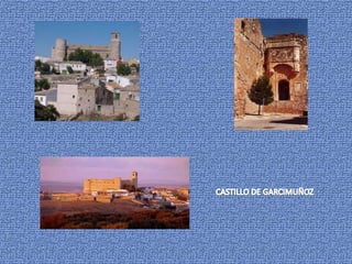 CASTILLO DE GARCIMUÑOZ