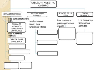UNIDAD 1: NUESTRO
CUERPO
CARACTERÍSTICAS ETAPAS DE LA
VIDA
CINCO
SENTIDOS
LAS FUNCIONES
VITALES
Los humanos
tiene cinco
sentidos
Los humanos
pasan por cinco
etapas
Los humanos
tienen tres
funciones vitales
CABEZA: CARA,
OJOS, BOCA
ANIMALES
VIVÍPAROS
TERRESTRES
OMNÍVOROS
LOS SERES HUMANOS
SON:
LOS HUMANOS
TIENEN:
 