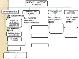UNIDAD 1: NUESTRO
CUERPO
CARACTERÍSTICAS ETAPAS DE LA
VIDA
CINCO
SENTIDOS
LAS FUNCIONES
VITALES
Los humanos
tiene cinco
sentidos
Los humanos
pasan por cinco
etapas
Los humanos
tienen tres
funciones vitales
CABEZA: CARA,
OJOS, BOCA
UN TRONCO
FLEXIBLE
ANIMALES
VIVÍPAROS
TERRESTRES
OMNÍVOROS
LOS SERES HUMANOS
SON:
LOS HUMANOS
TIENEN:
 