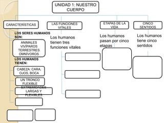 UNIDAD 1: NUESTRO
CUERPO
CARACTERÍSTICAS ETAPAS DE LA
VIDA
CINCO
SENTIDOS
LAS FUNCIONES
VITALES
Los humanos
tiene cinco
sentidos
Los humanos
pasan por cinco
etapas
Los humanos
tienen tres
funciones vitales
CABEZA: CARA,
OJOS, BOCA
UN TRONCO
FLEXIBLE
EXTREMIDADES
LARGAS Y
FLEXIBLES
ANIMALES
VIVÍPAROS
TERRESTRES
OMNÍVOROS
LOS SERES HUMANOS
SON:
LOS HUMANOS
TIENEN:
 
