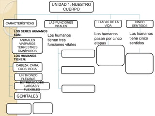 UNIDAD 1: NUESTRO
CUERPO
CARACTERÍSTICAS ETAPAS DE LA
VIDA
CINCO
SENTIDOS
LAS FUNCIONES
VITALES
Los humanos
tiene cinco
sentidos
Los humanos
pasan por cinco
etapas
Los humanos
tienen tres
funciones vitales
CABEZA: CARA,
OJOS, BOCA
UN TRONCO
FLEXIBLE
EXTREMIDADES
LARGAS Y
FLEXIBLES
GENITALES
ANIMALES
VIVÍPAROS
TERRESTRES
OMNÍVOROS
LOS SERES HUMANOS
SON:
LOS HUMANOS
TIENEN:
 