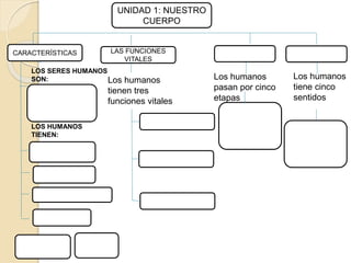 UNIDAD 1: NUESTRO
CUERPO
CARACTERÍSTICAS LAS FUNCIONES
VITALES
Los humanos
tiene cinco
sentidos
Los humanos
pasan por cinco
etapas
Los humanos
tienen tres
funciones vitales
LOS SERES HUMANOS
SON:
LOS HUMANOS
TIENEN:
 