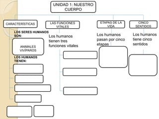 UNIDAD 1: NUESTRO
CUERPO
CARACTERÍSTICAS ETAPAS DE LA
VIDA
CINCO
SENTIDOS
LAS FUNCIONES
VITALES
Los humanos
tiene cinco
sentidos
Los humanos
pasan por cinco
etapas
Los humanos
tienen tres
funciones vitalesANIMALES
VIVÍPAROS
LOS SERES HUMANOS
SON:
LOS HUMANOS
TIENEN:
 