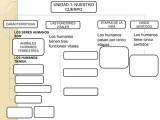 UNIDAD 1: NUESTRO
CUERPO
CARACTERÍSTICAS ETAPAS DE LA
VIDA
CINCO
SENTIDOS
LAS FUNCIONES
VITALES
Los humanos
tiene cinco
sentidos
Los humanos
pasan por cinco
etapas
Los humanos
tienen tres
funciones vitales
ANIMALES
VIVÍPAROS
TERRESTRES
LOS SERES HUMANOS
SON:
LOS HUMANOS
TIENEN:
 
