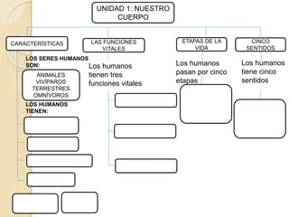 UNIDAD 1: NUESTRO
CUERPO
CARACTERÍSTICAS ETAPAS DE LA
VIDA
CINCO
SENTIDOS
LAS FUNCIONES
VITALES
Los humanos
tiene cinco
sentidos
Los humanos
pasan por cinco
etapas
Los humanos
tienen tres
funciones vitales
ANIMALES
VIVÍPAROS
TERRESTRES
OMNÍVOROS
LOS SERES HUMANOS
SON:
LOS HUMANOS
TIENEN:
 