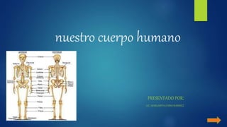nuestro cuerpo humano
PRESENTADO POR:
LIC. MARGARITA CHINO RAMIREZ
 