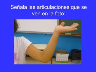 Señala las articulaciones que se
ven en la foto:
 