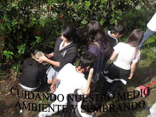 CUIDANDO NUESTRO MEDIO  AMBIENTE Y SEMBRANDO 