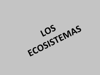 LOS
ECOSISTEMAS
 