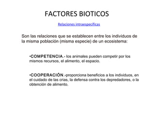 FACTORES BIOTICOS
Relaciones intraespecíficas
Son las relaciones que se establecen entre los individuos de
la misma población (misma especie) de un ecosistema:
•COMPETENCIA.- los animales pueden competir por los
mismos recursos, el alimento, el espacio.
•COOPERACIÓN.-proporciona beneficios a los individuos, en
el cuidado de las crias, la defensa contra los depredadores, o la
obtención de alimento.
 