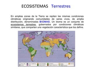 ECOSISTEMAS Terrestres
En amplias zonas de la Tierra se repiten las mismas condiciones
climáticas originando comunidades de seres vivos, de amplia
distribución, denominadas BIOMAS. Un bioma es un conjunto de
ecosistemas terrestres, gobernados por condiciones climáticas
similares, que comparten una vegetación característica que los define.
 